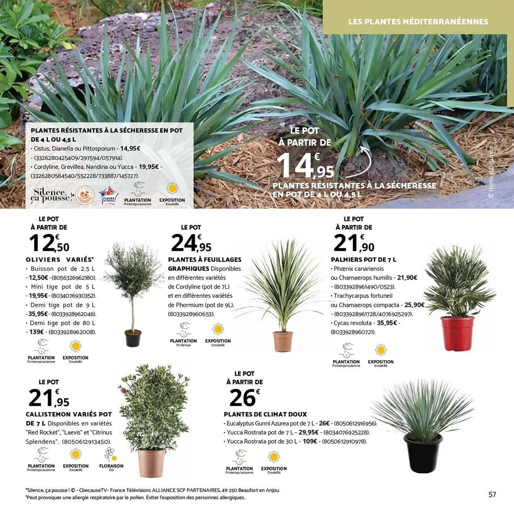 Catalogue Bricorama (2026-04-09 - 2026-05-10)