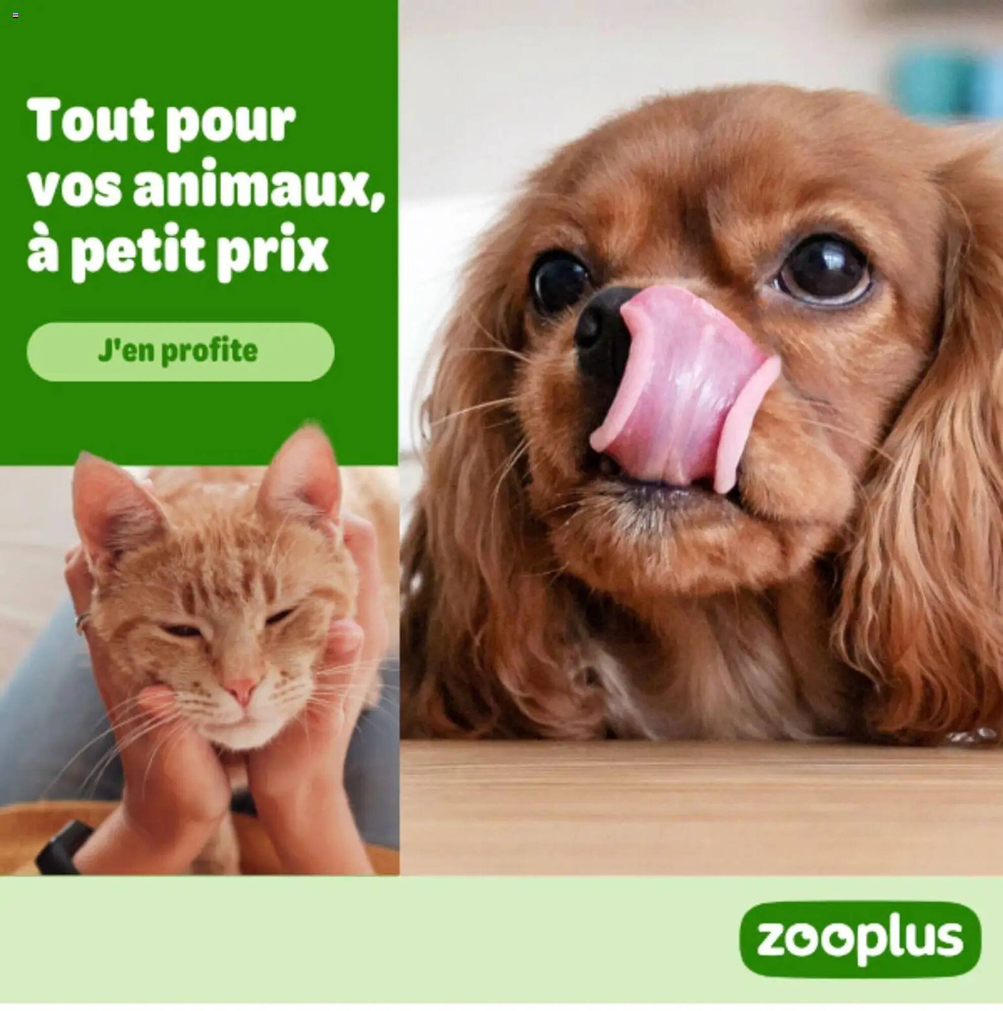 Catalogue Zooplus