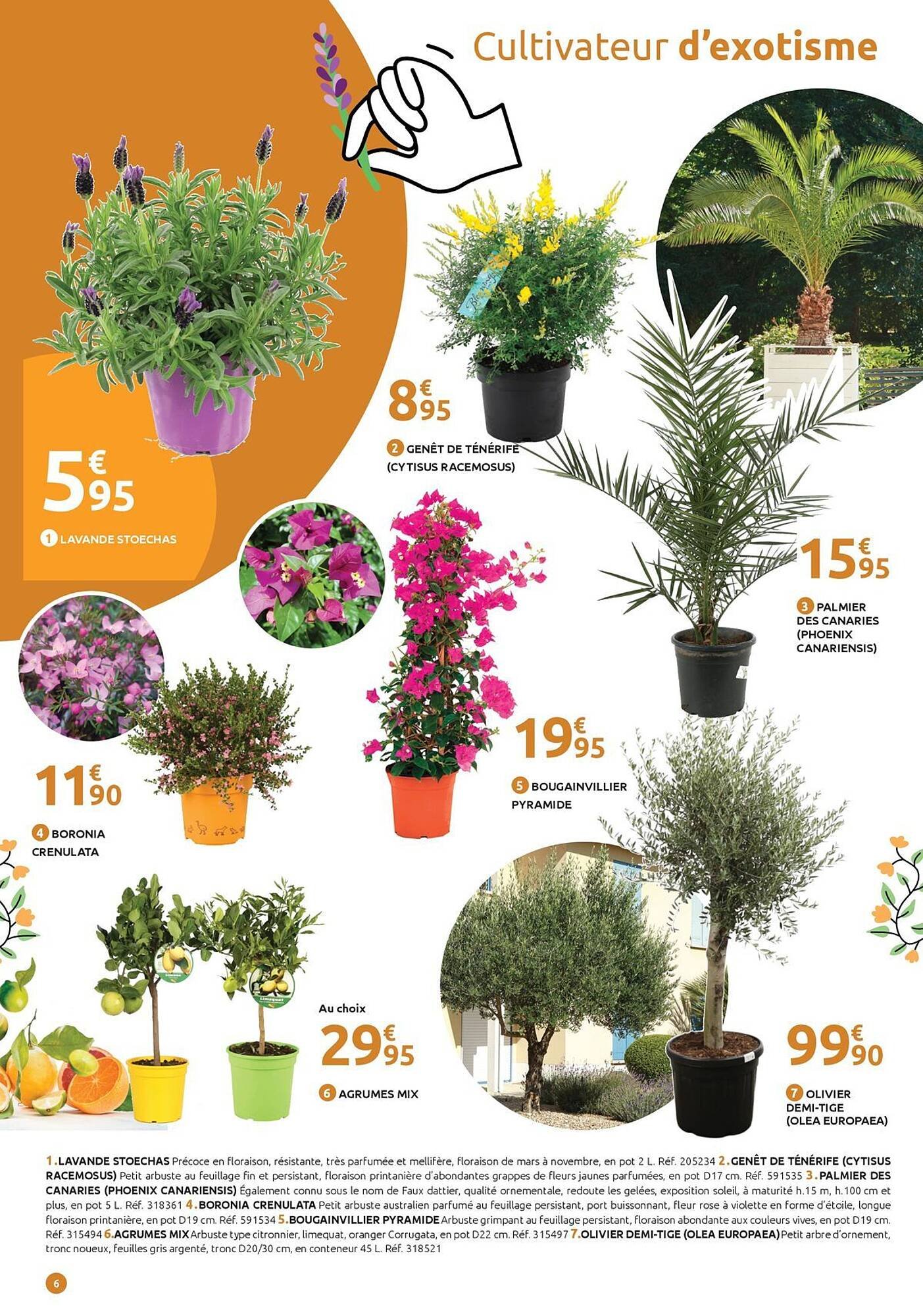 Catalogue Mr Bricolage (2026-03-19 - 2026-04-05)