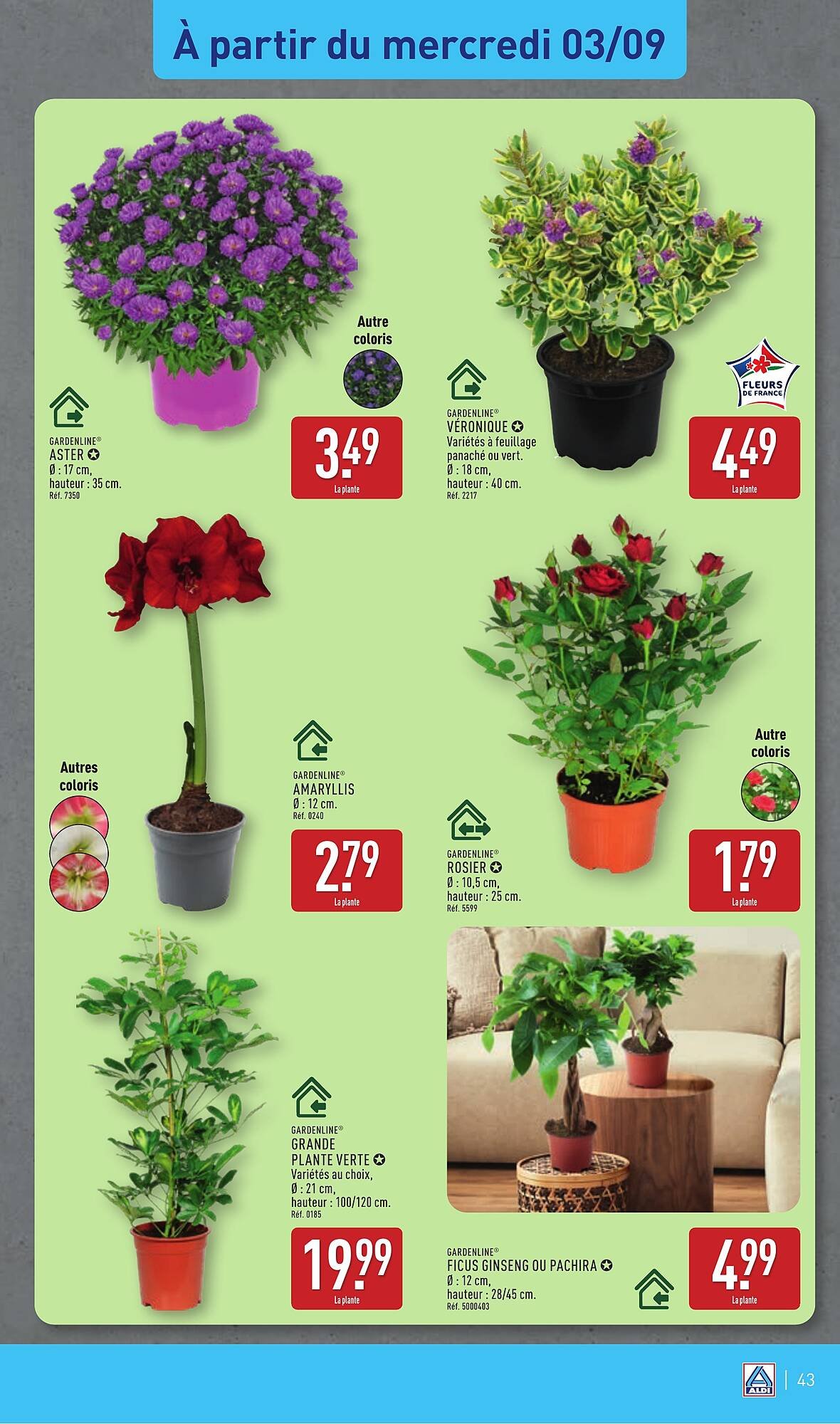 Catalogue ALDI (2025-09-02 - 2025-09-08)