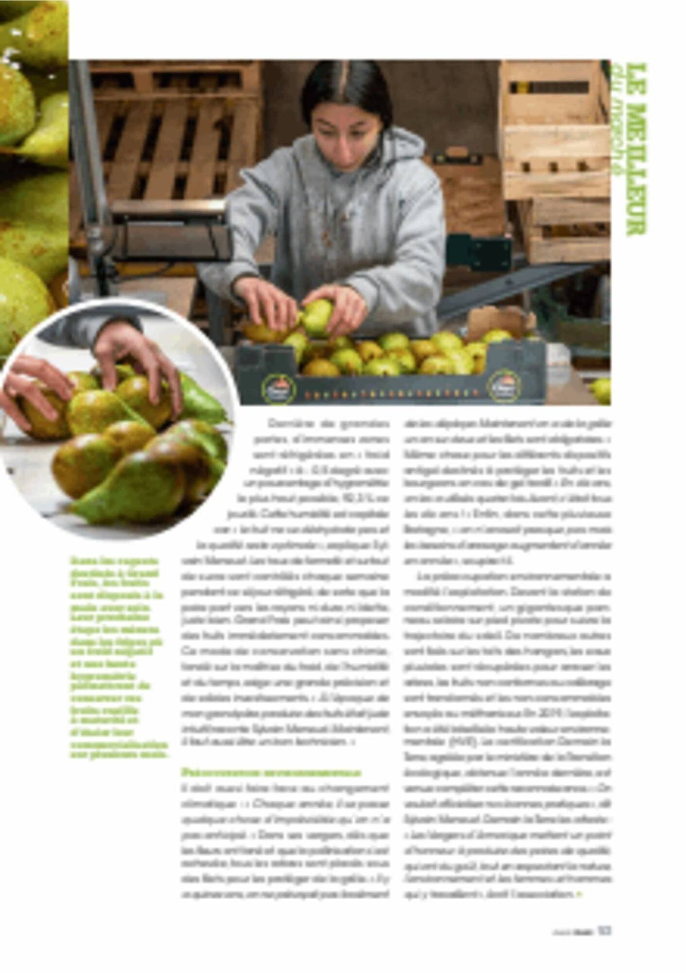 Catalogue Grand Frais (2025-12-12 - 2026-03-20)