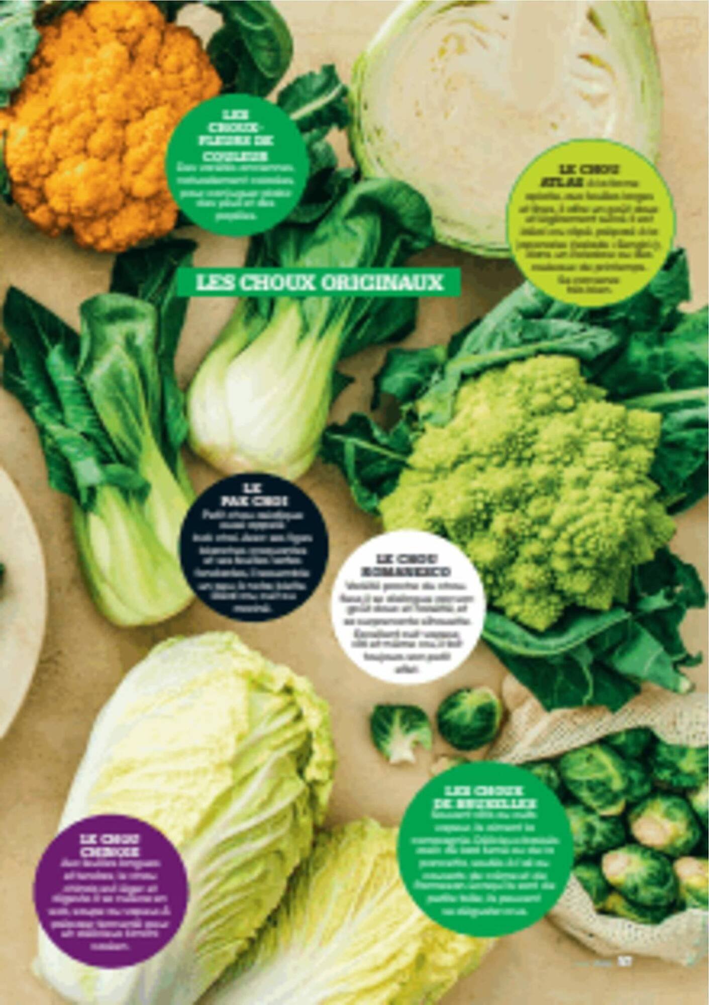 Catalogue Grand Frais (2025-12-12 - 2026-03-20)