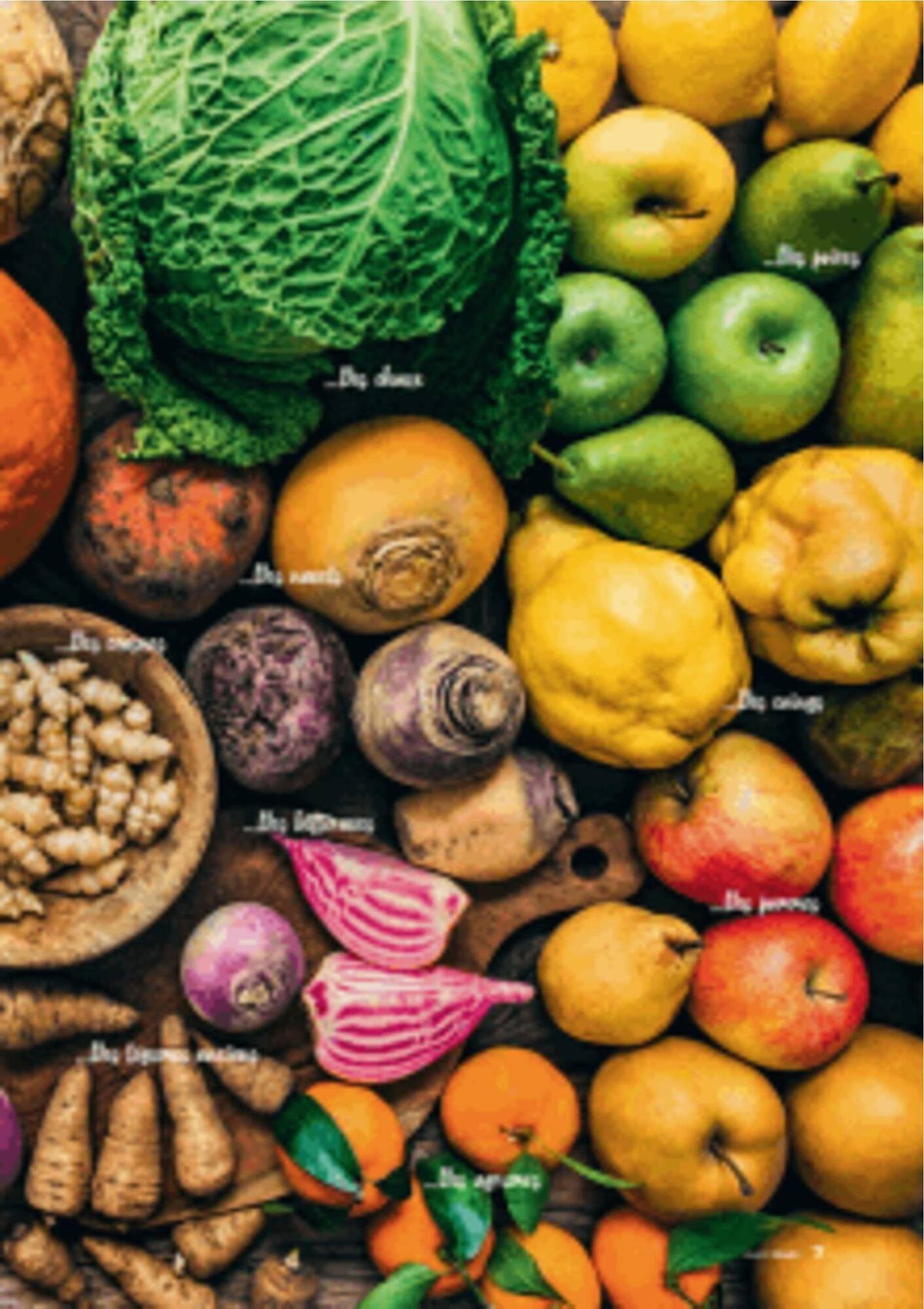 Catalogue Grand Frais