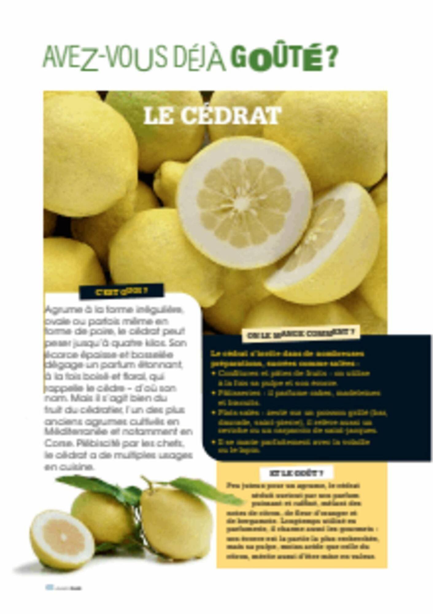 Catalogue Grand Frais (2025-12-12 - 2026-03-20)