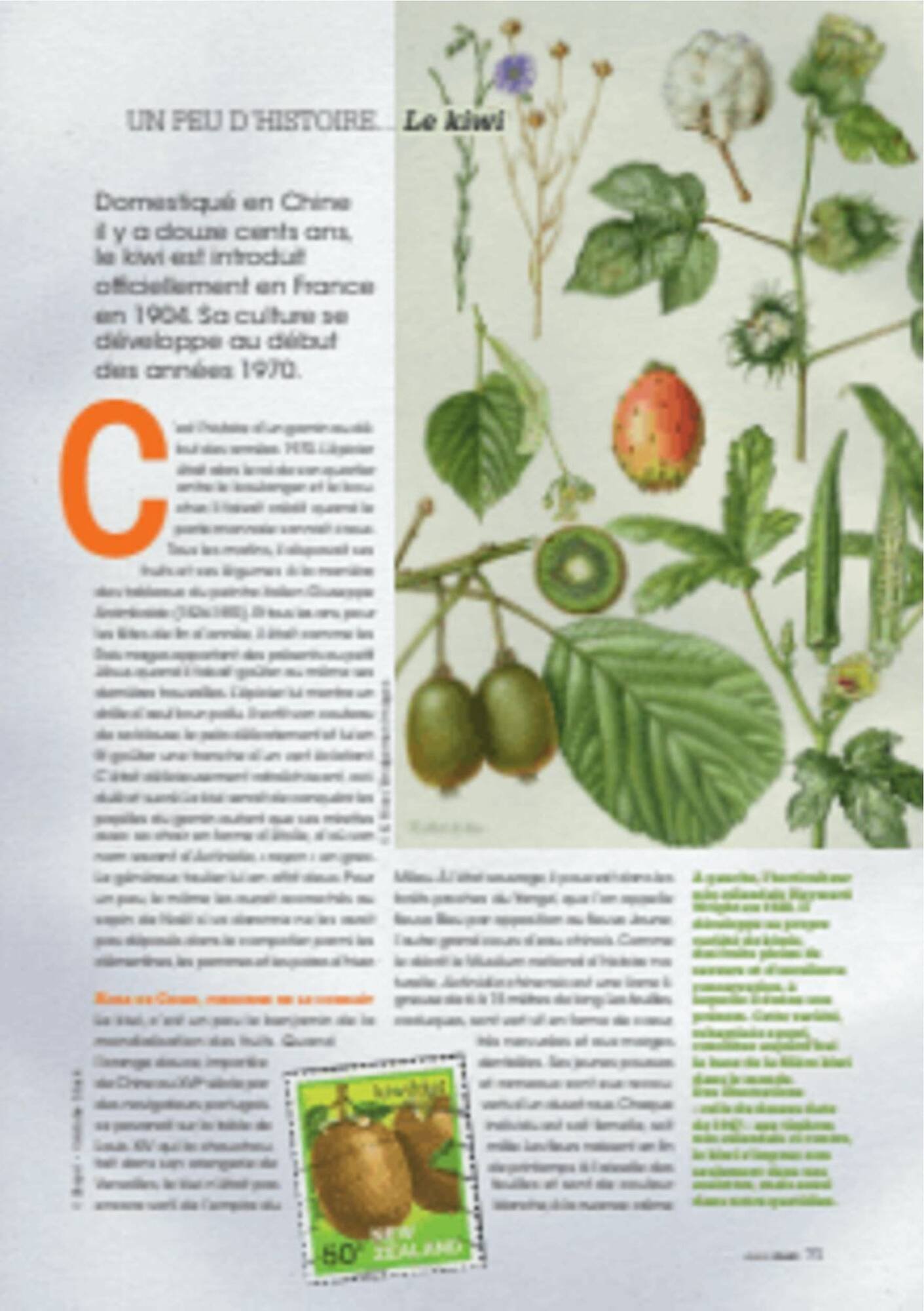 Catalogue Grand Frais