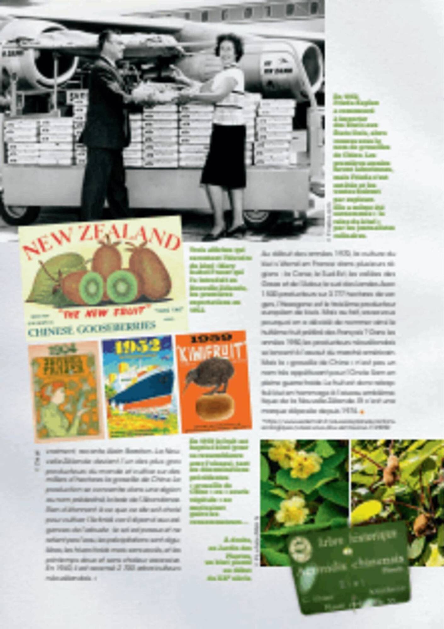 Catalogue Grand Frais