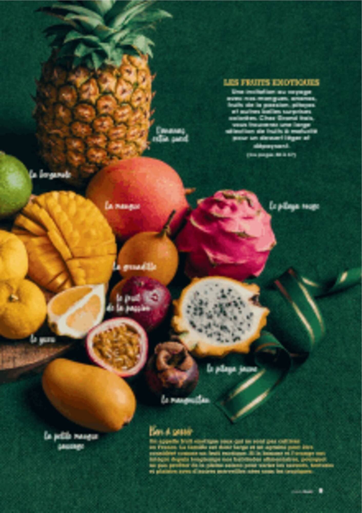 Catalogue Grand Frais (2025-12-12 - 2026-03-20)