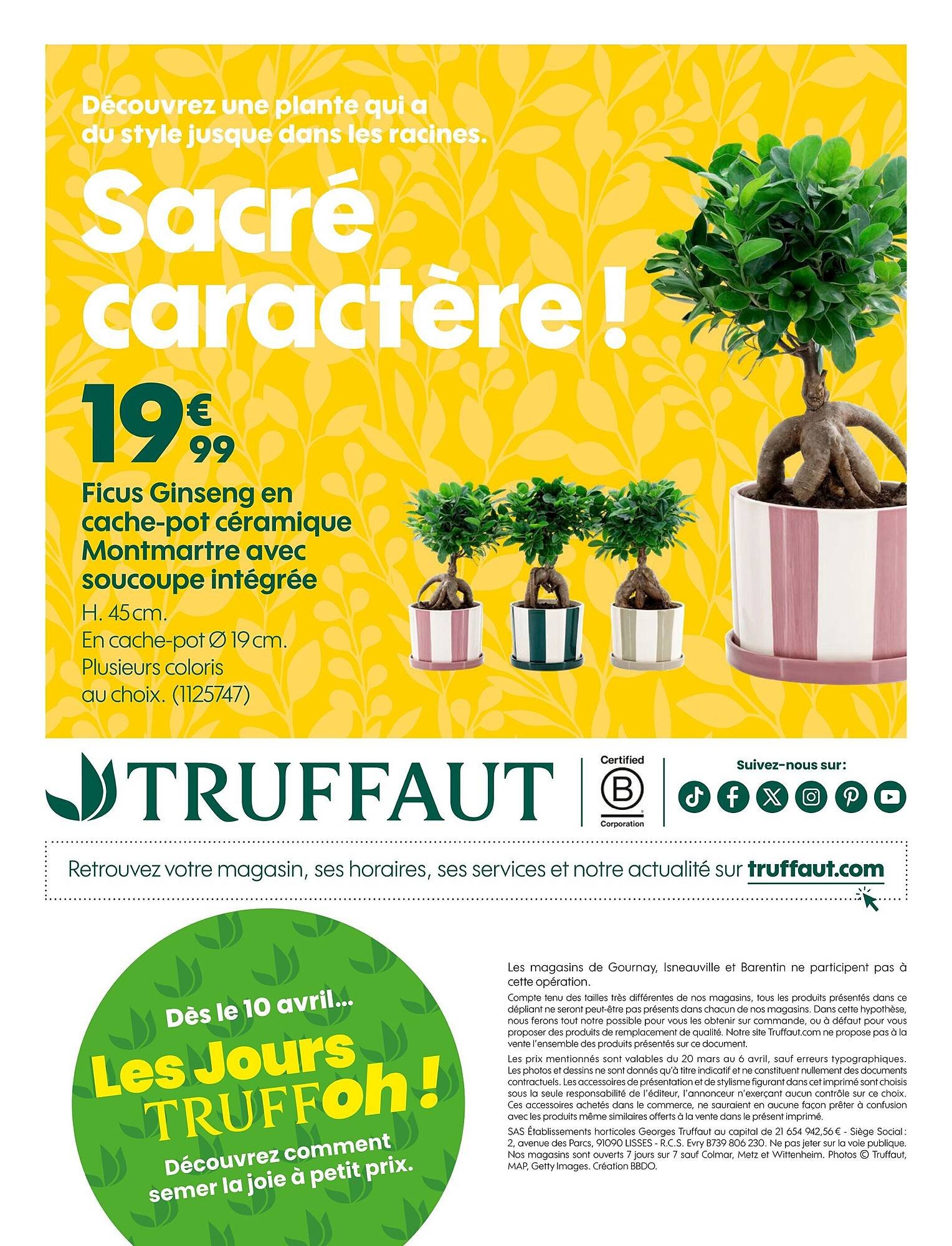 Catalogue Truffaut (2026-03-20 - 2026-04-06)