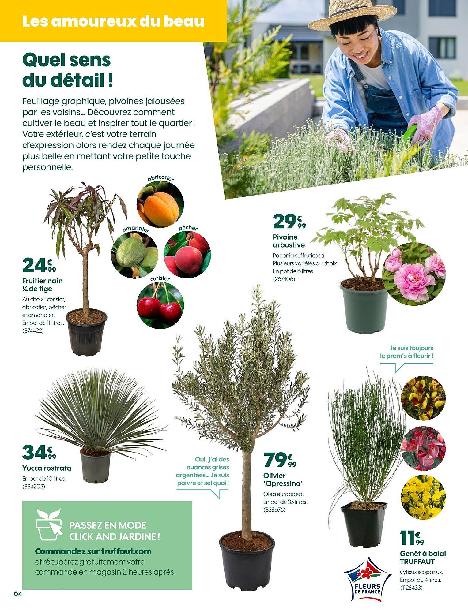 Catalogue Truffaut (2026-03-20 - 2026-04-06)