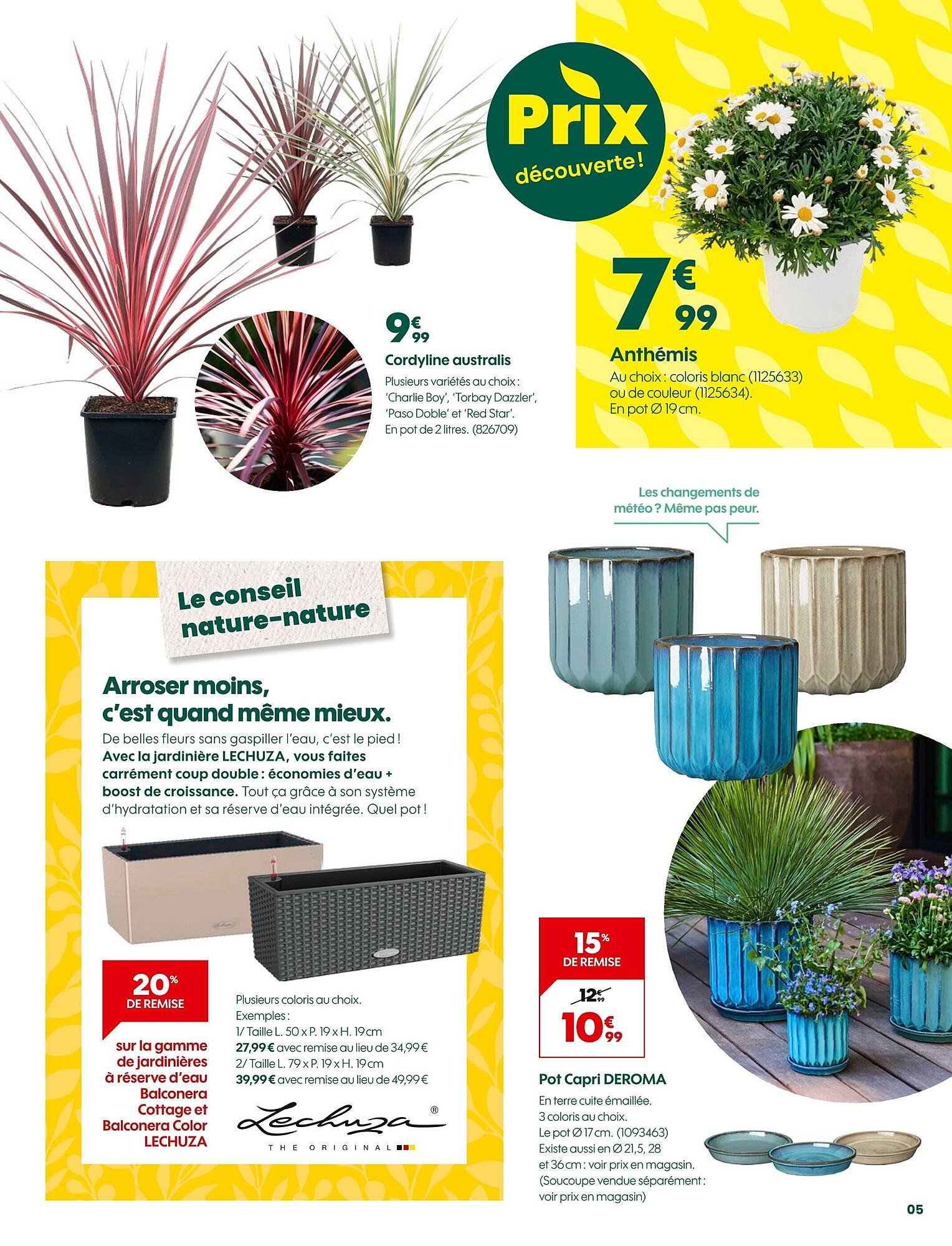 Catalogue Truffaut (2026-03-20 - 2026-04-06)