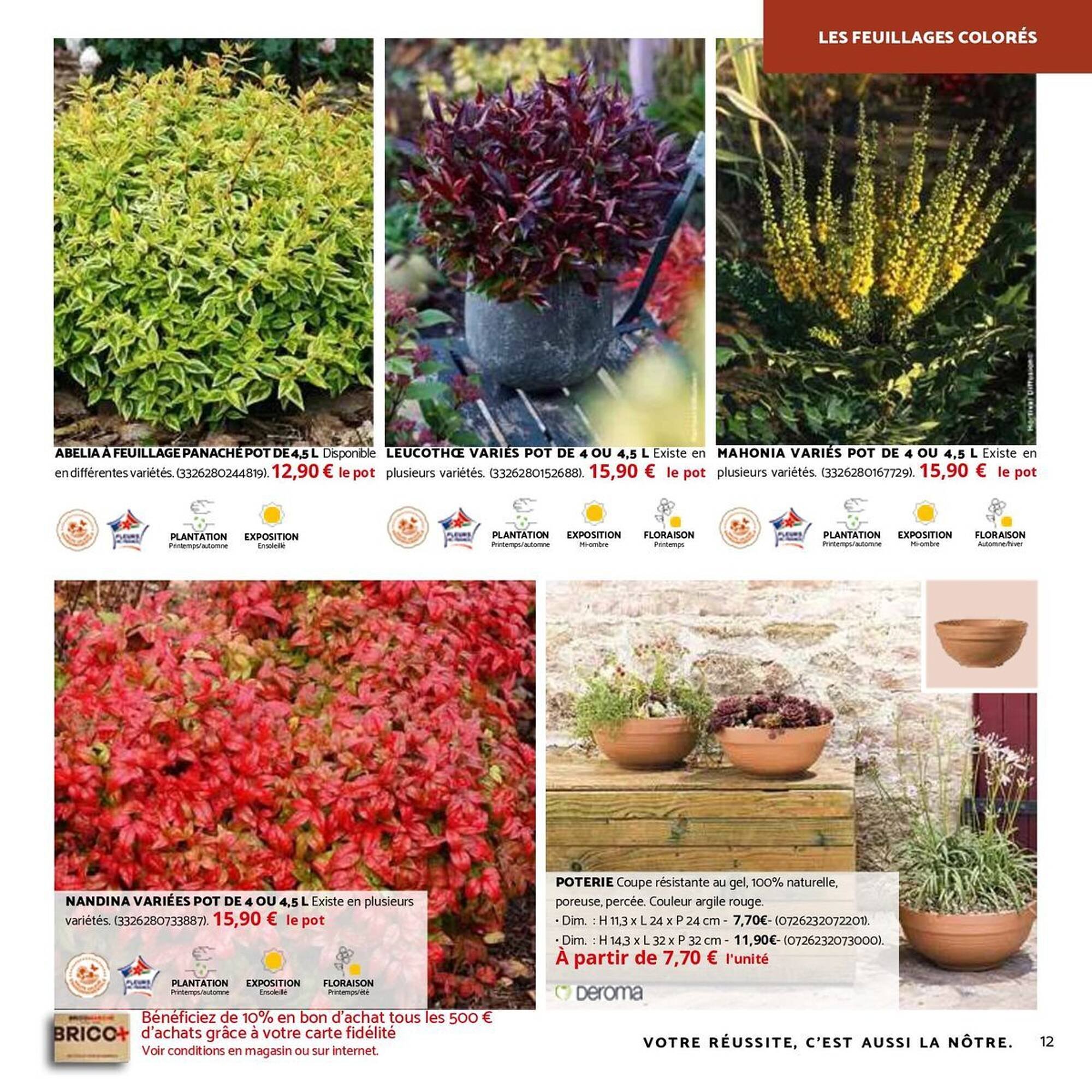 Catalogue Bricomarché (2025-10-01 - 2025-11-29)