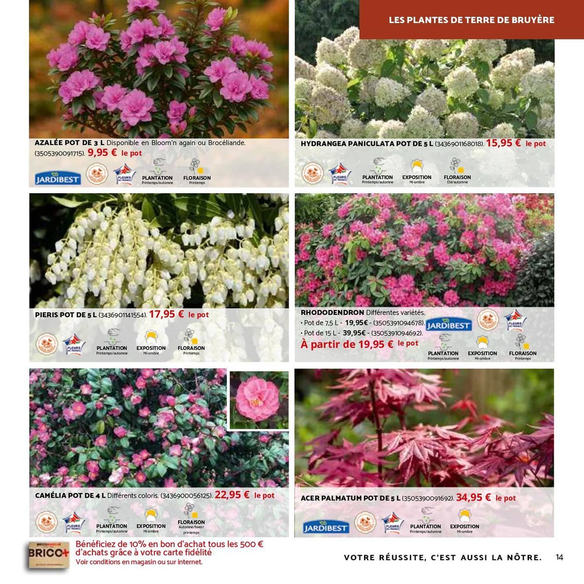 Catalogue Bricomarché (2025-10-01 - 2025-11-29)