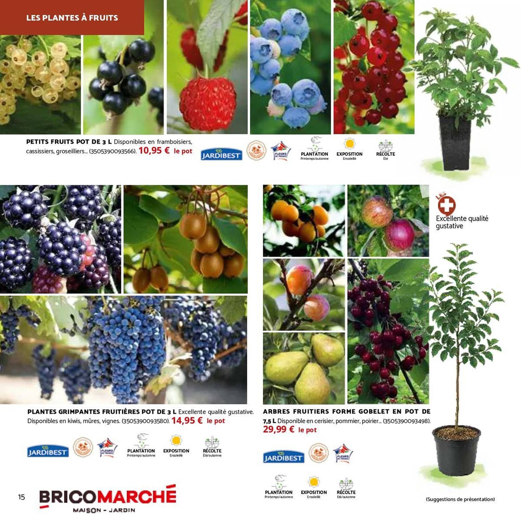 Catalogue Bricomarché (2025-10-01 - 2025-11-29)