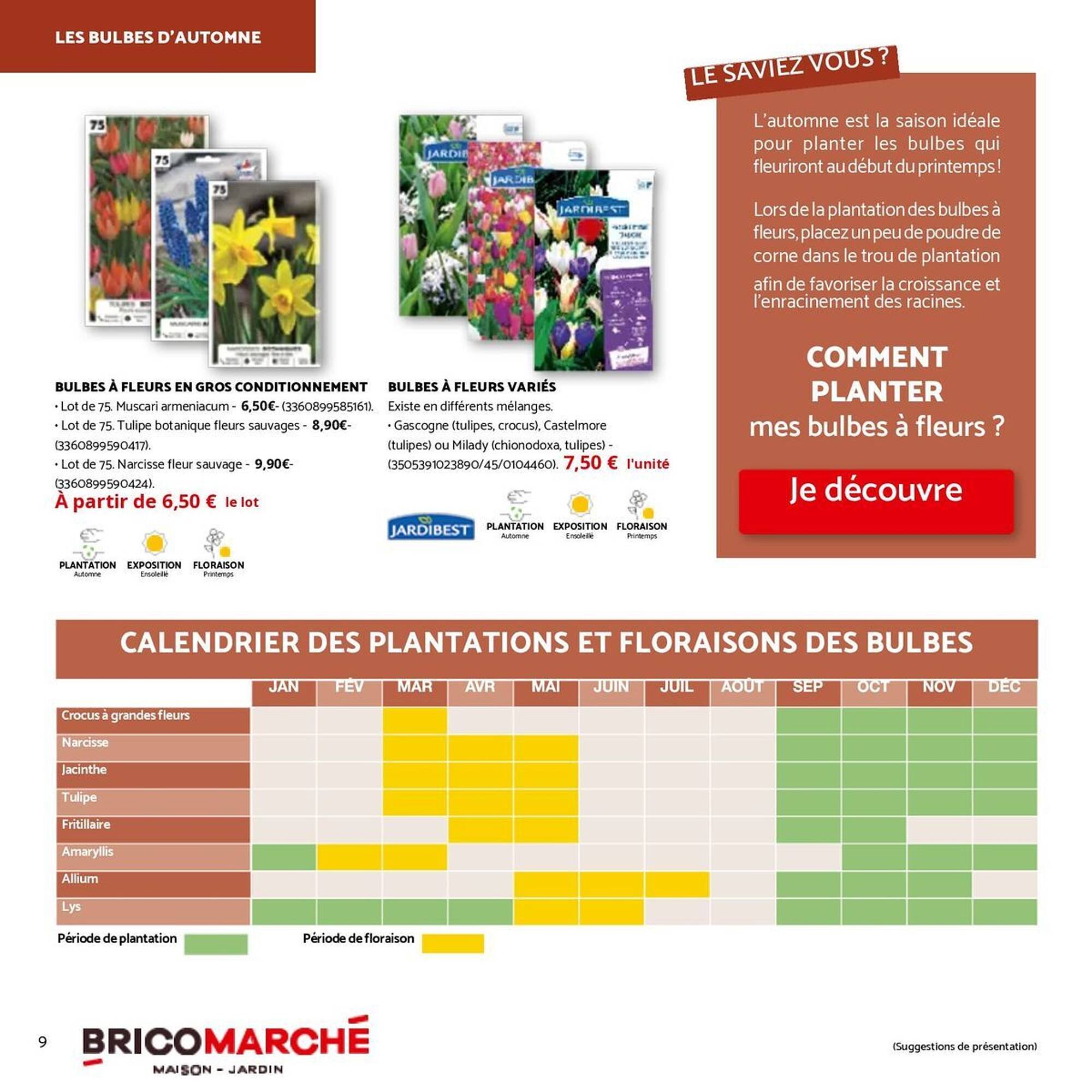 Catalogue Bricomarché (2025-10-01 - 2025-11-29)