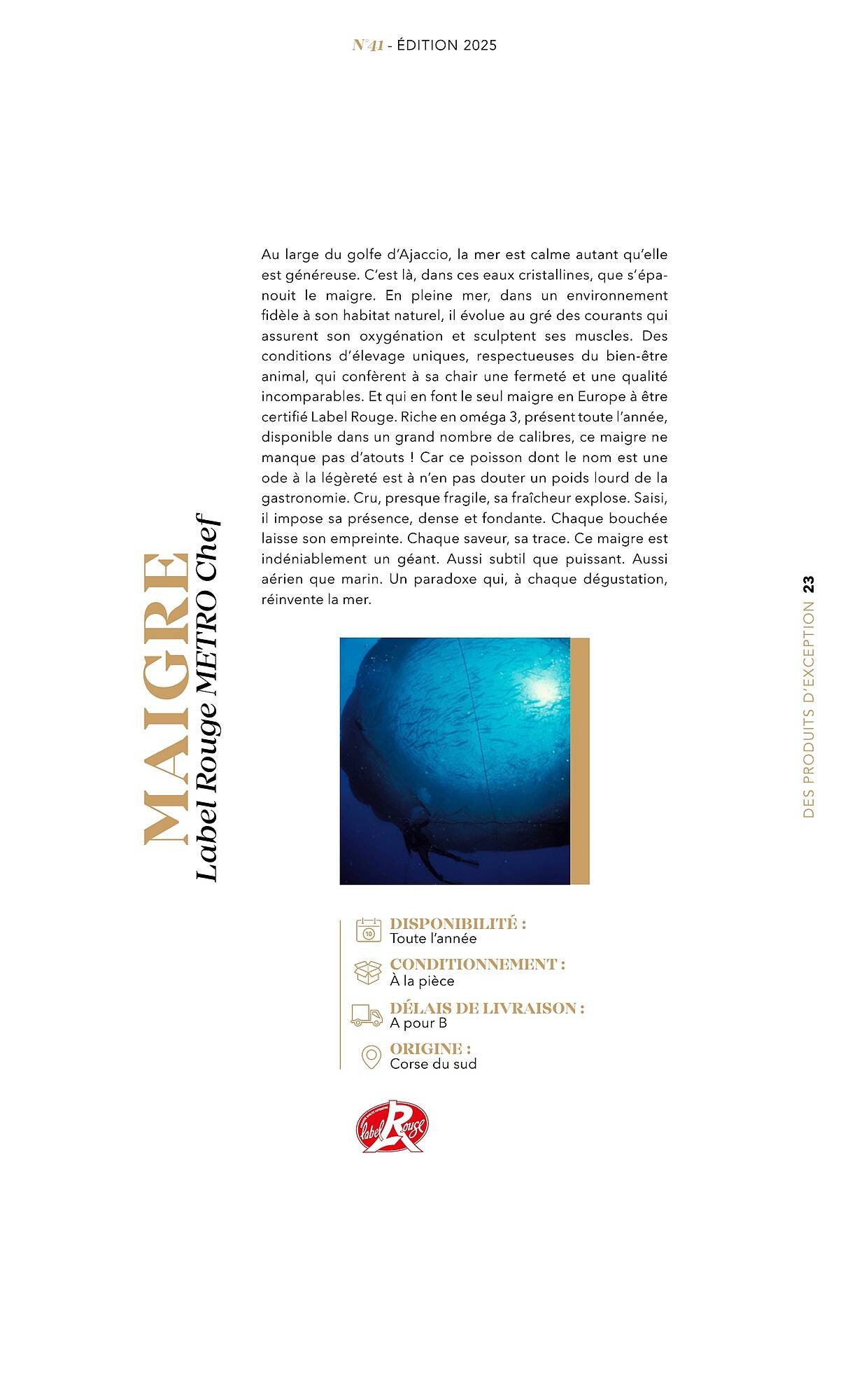 Catalogue METRO (2025-07-01 - 2025-12-31)
