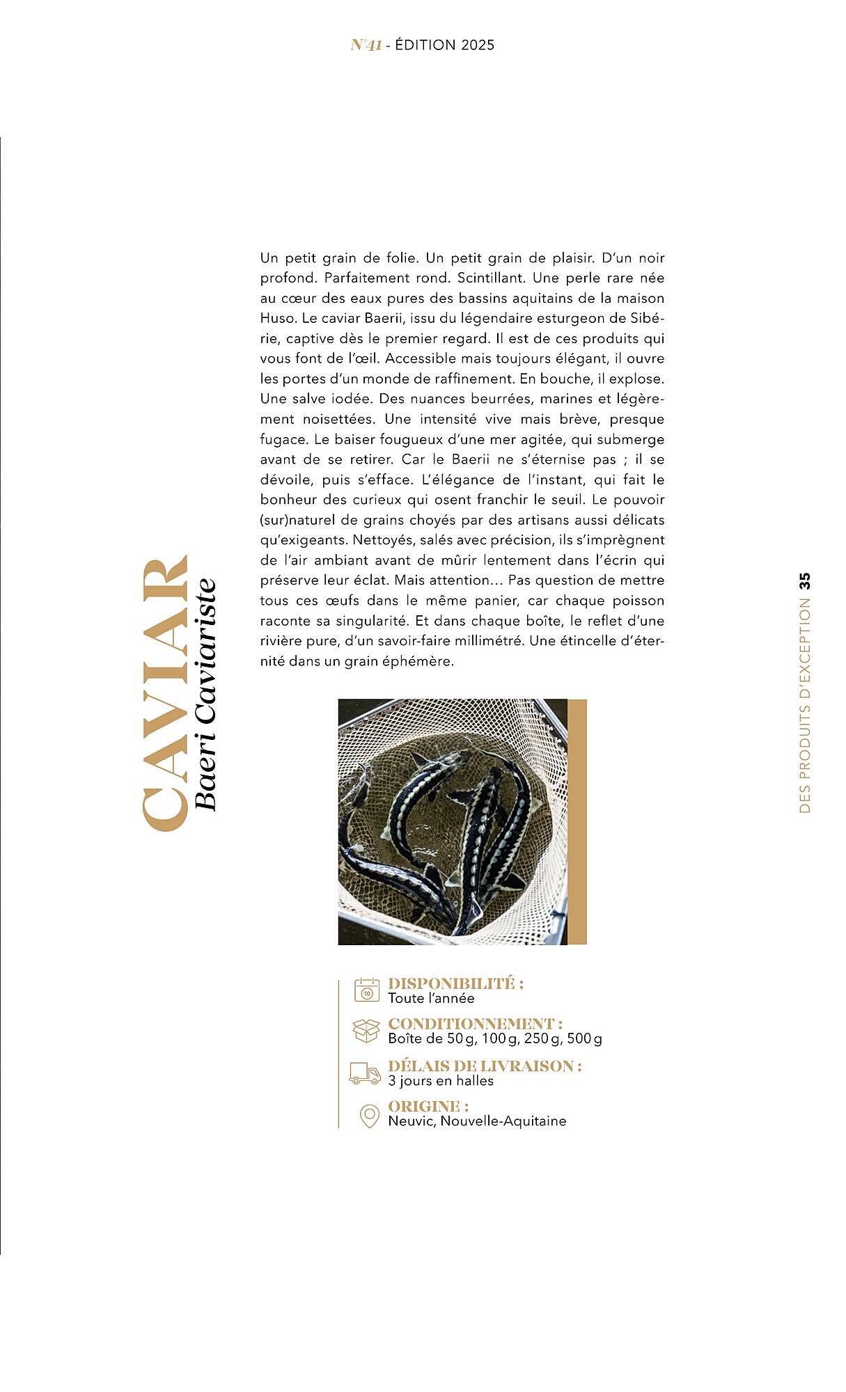 Catalogue METRO (2025-07-01 - 2025-12-31)