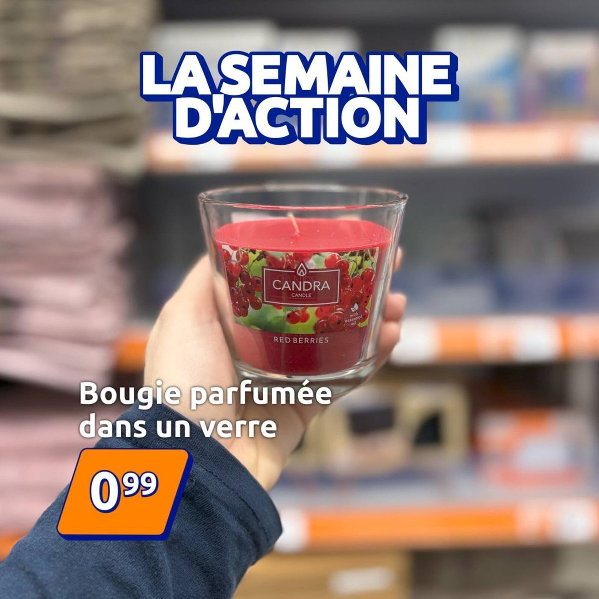 Catalogue Action (2026-01-08 - 2026-01-15)