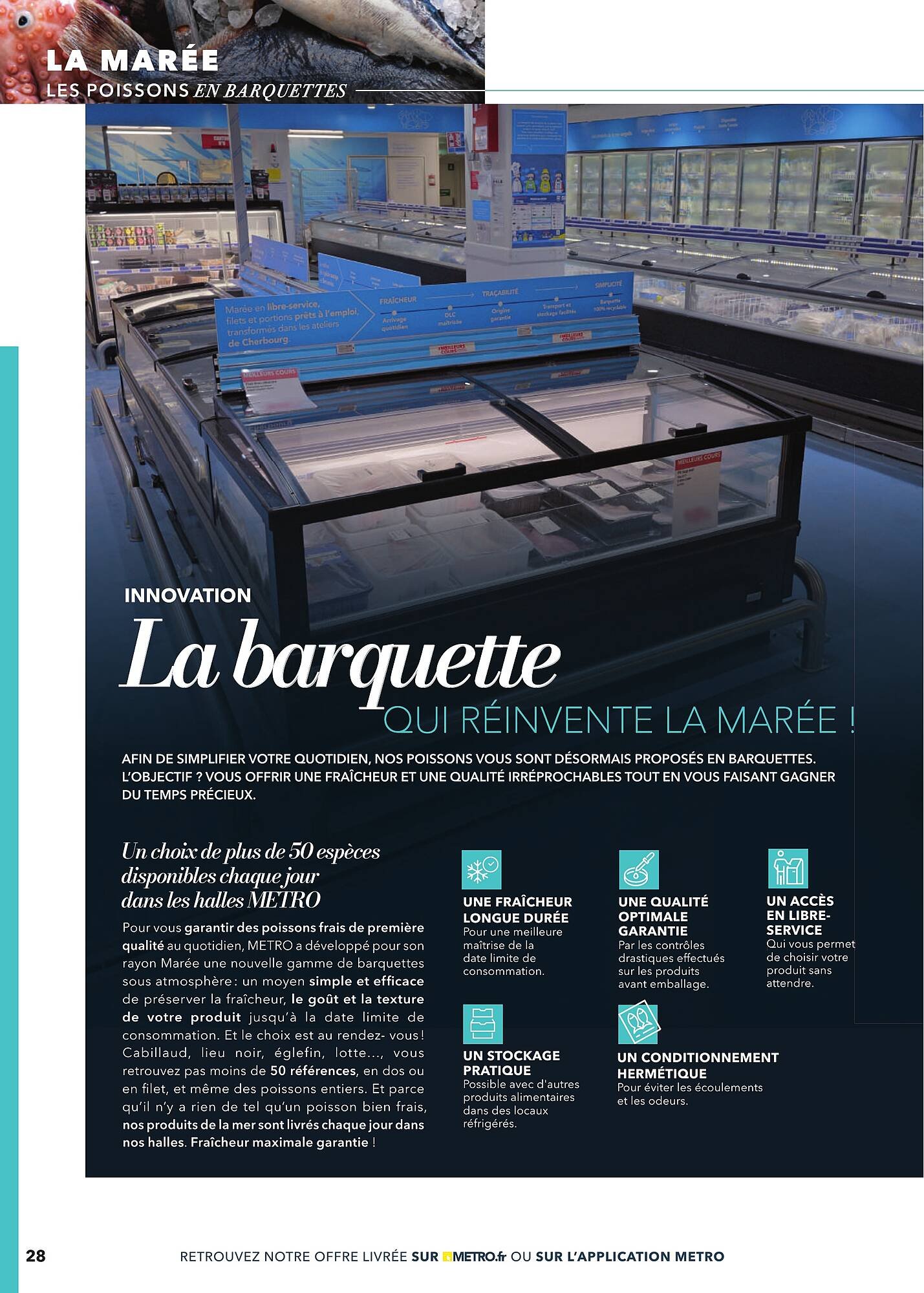 Catalogue METRO (2025-03-02 - 2025-12-31)