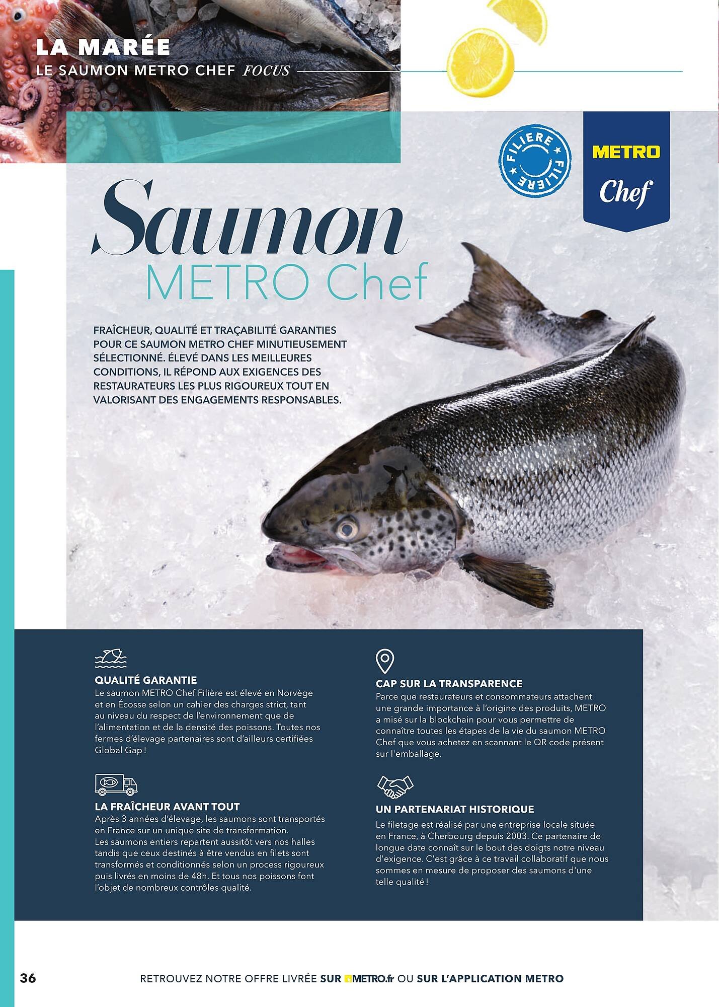 Catalogue METRO (2025-03-02 - 2025-12-31)