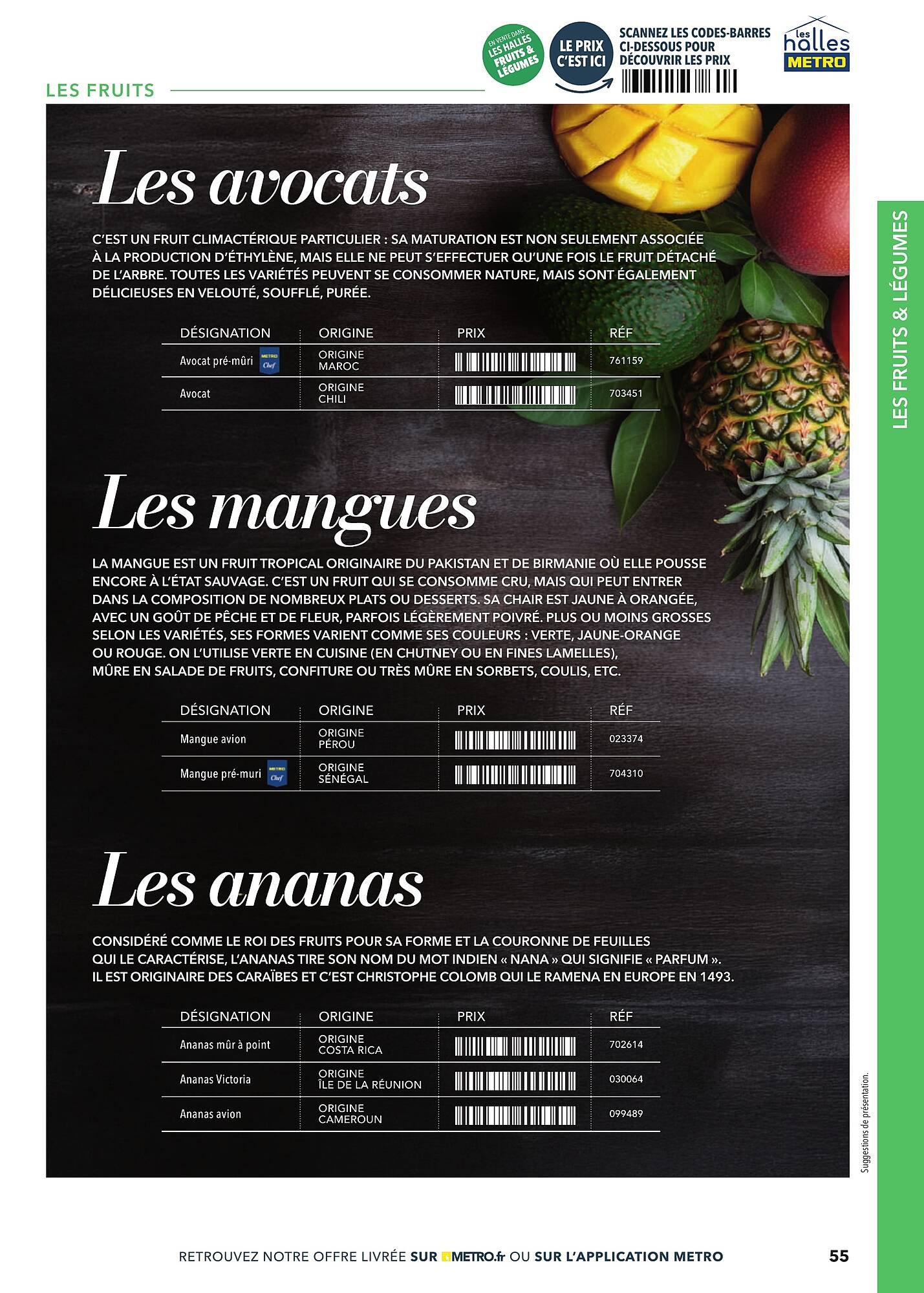 Catalogue METRO (2025-03-02 - 2025-12-31)