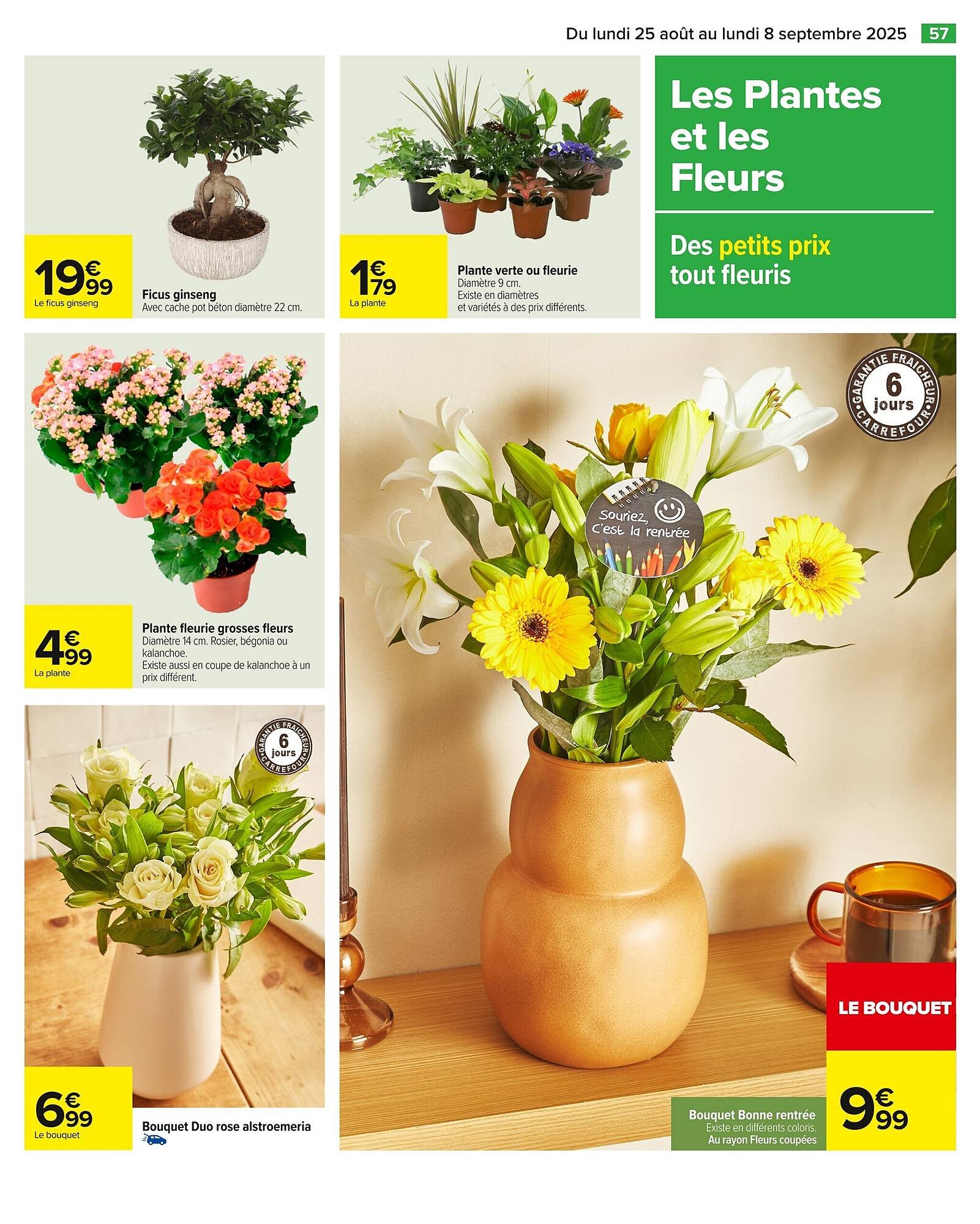 Catalogue Carrefour (2025-08-25 - 2025-09-08)