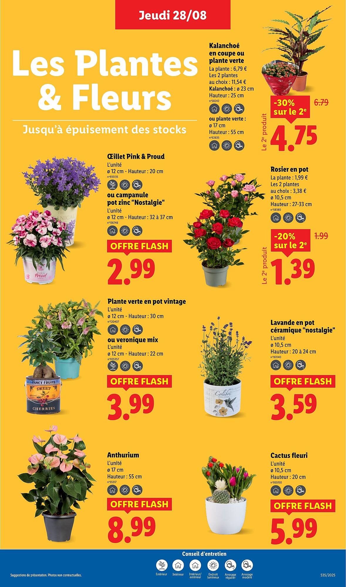 Catalogue Lidl (2025-08-28 - 2025-09-03)
