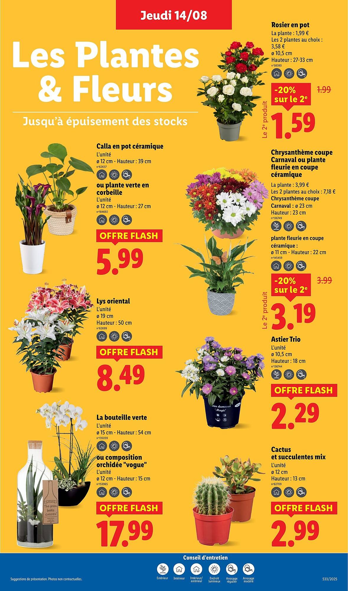 Catalogue Lidl (2025-08-14 - 2025-08-20)