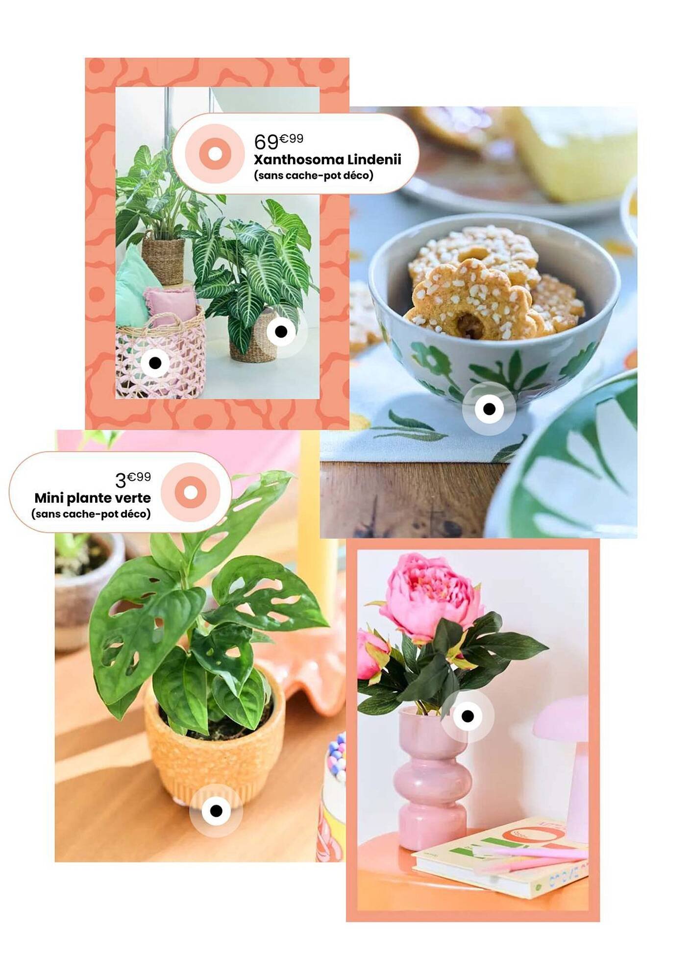 Catalogue Truffaut (2026-04-07 - 2026-05-31)