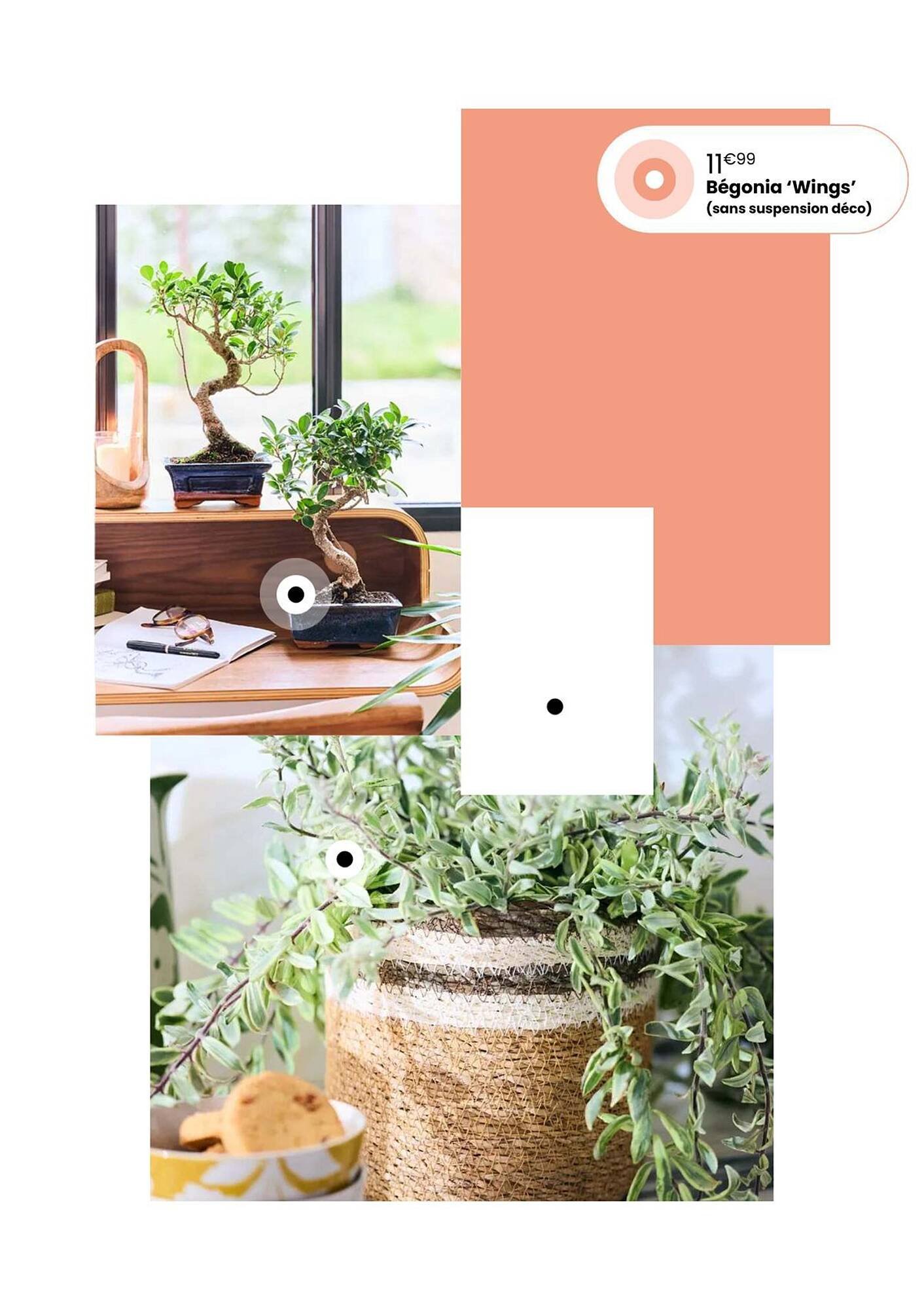 Catalogue Truffaut (2026-04-07 - 2026-05-31)