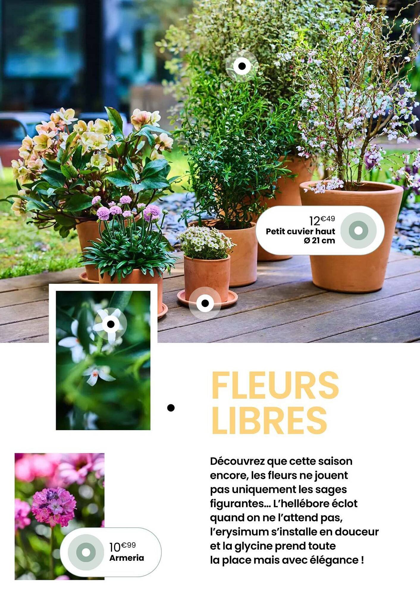 Catalogue Truffaut (2026-04-07 - 2026-05-31)