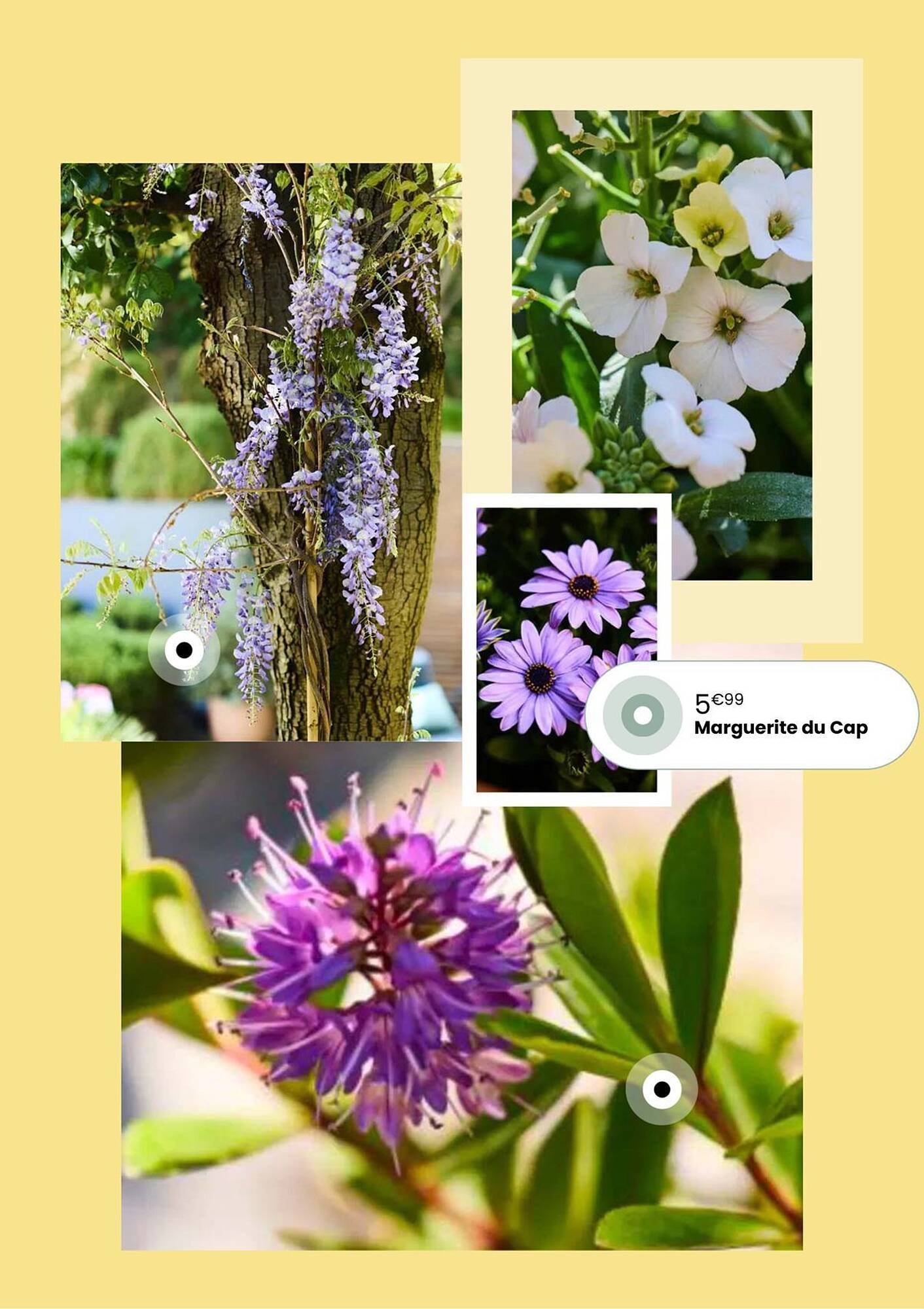 Catalogue Truffaut (2026-04-07 - 2026-05-31)