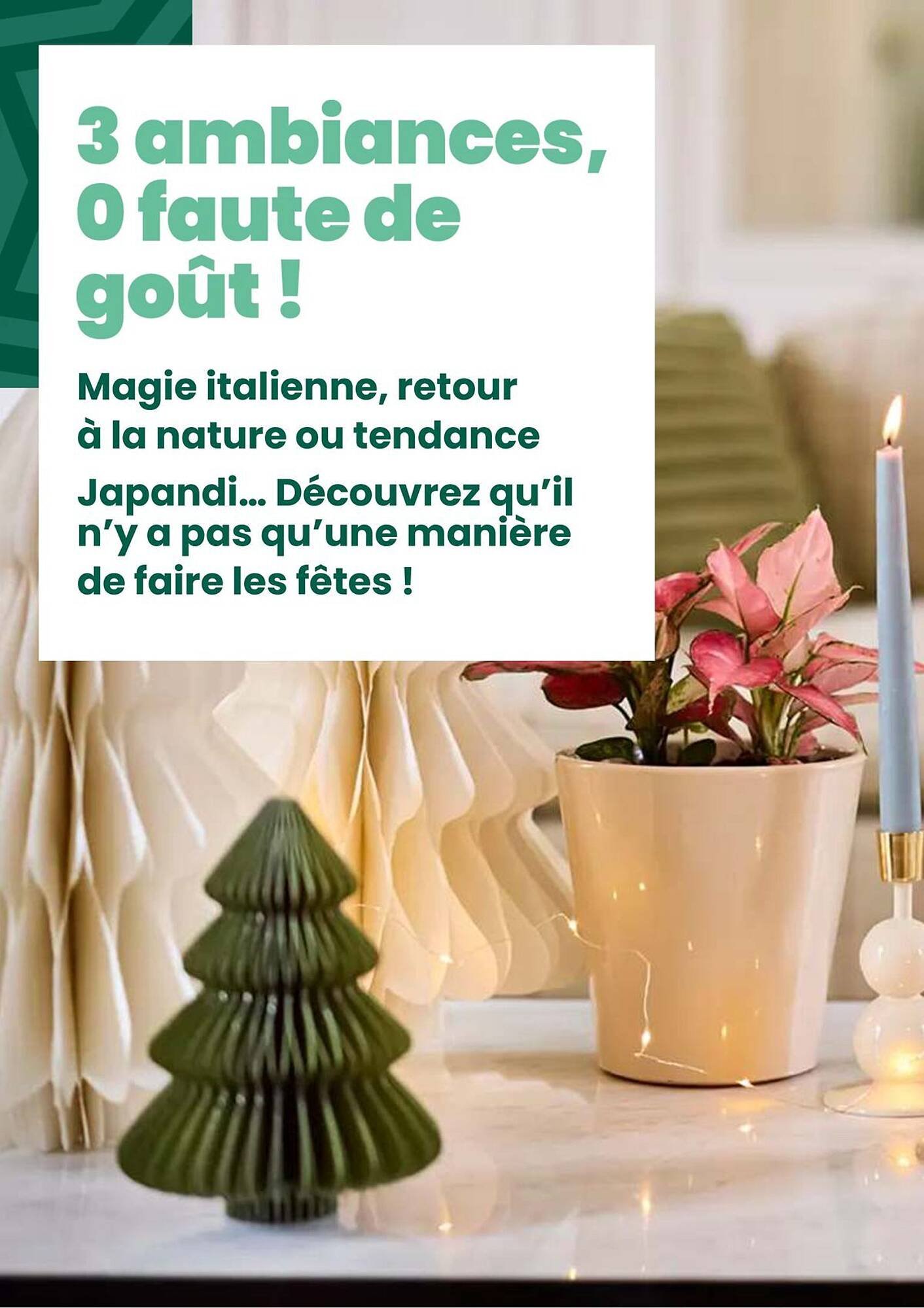 Catalogue Truffaut (2025-12-02 - 2025-12-31)