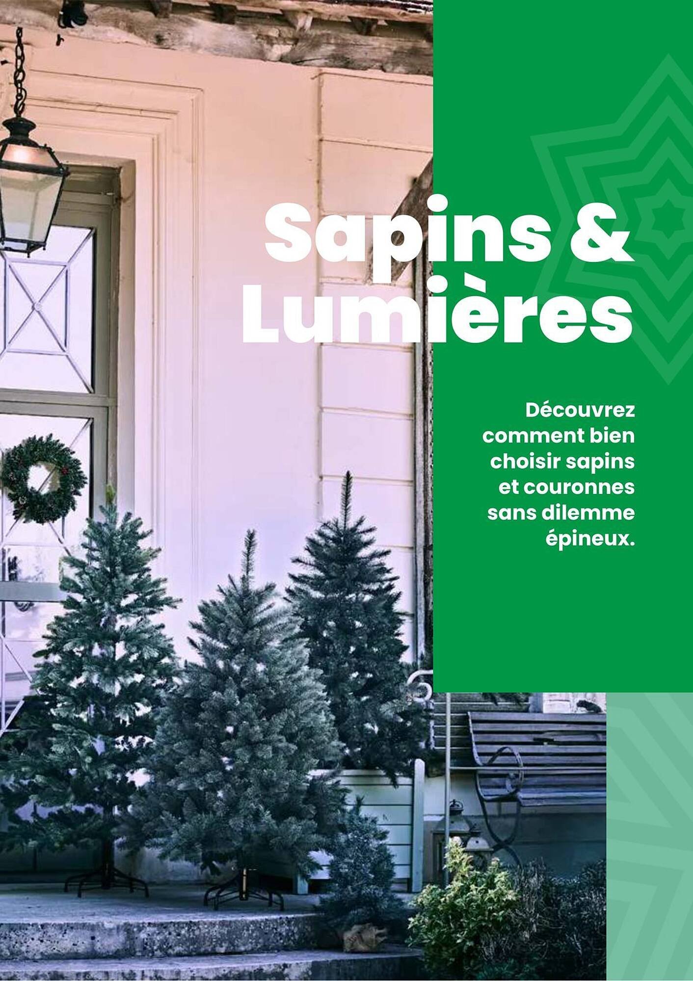 Catalogue Truffaut (2025-12-02 - 2025-12-31)