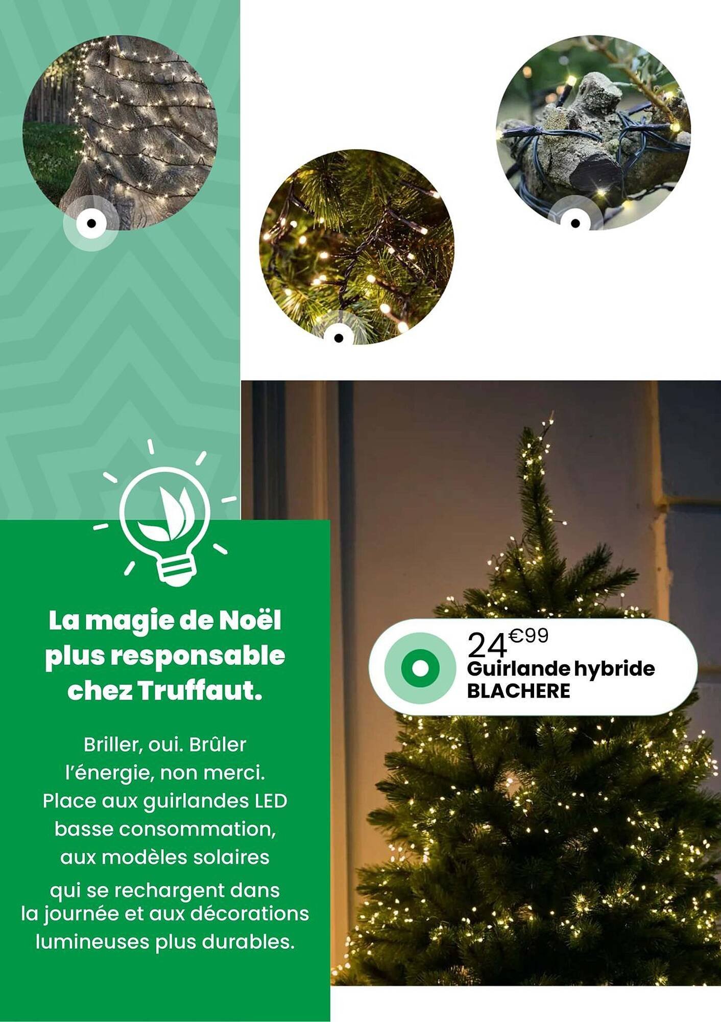 Catalogue Truffaut (2025-12-02 - 2025-12-31)