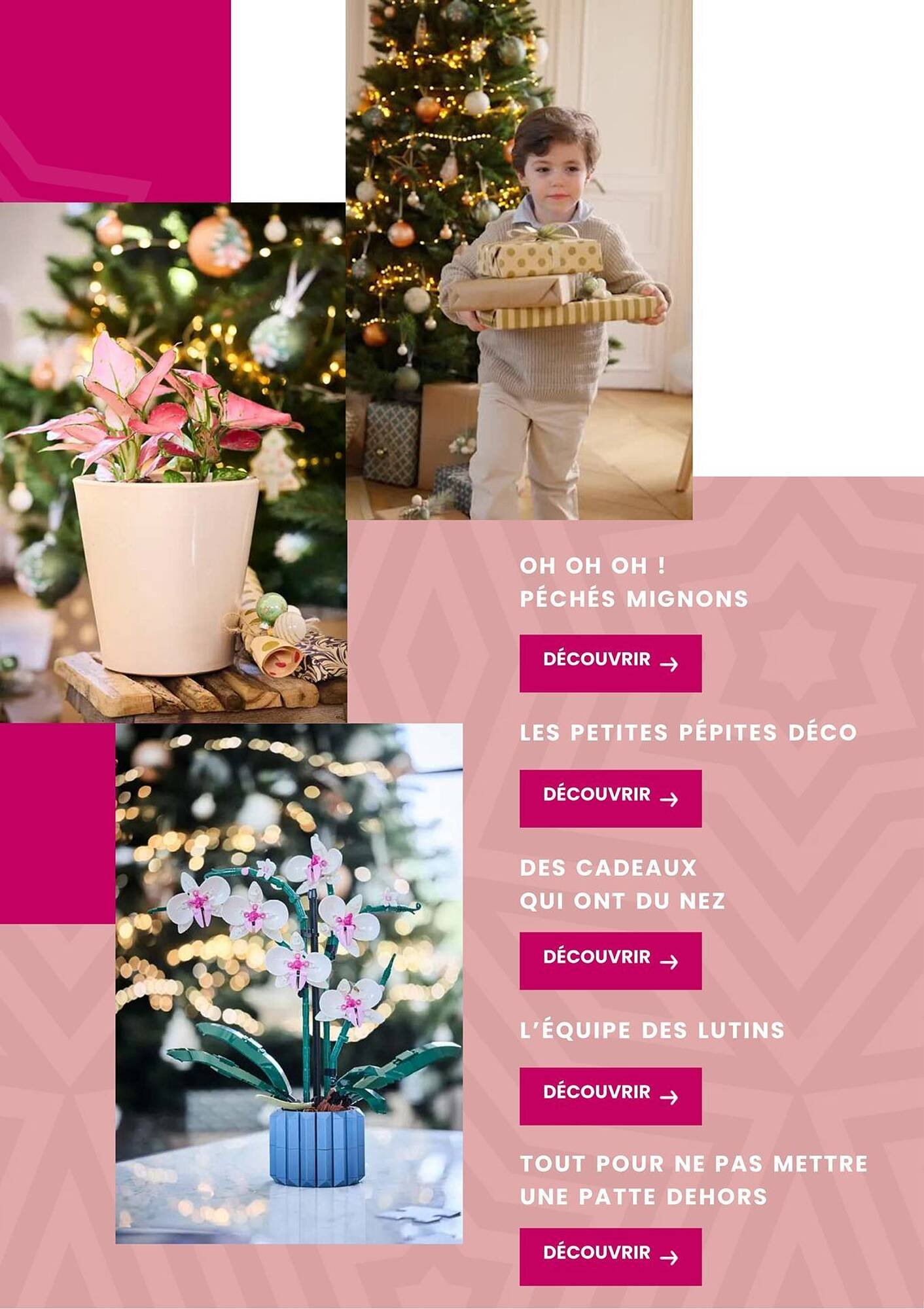 Catalogue Truffaut (2025-12-02 - 2025-12-31)