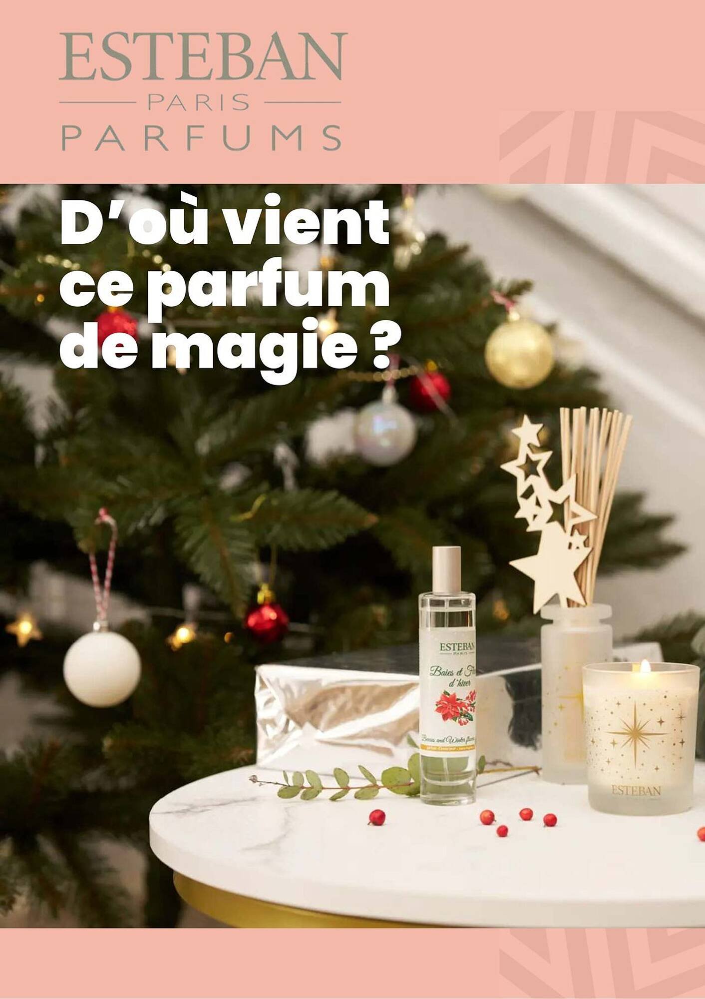 Catalogue Truffaut (2025-12-02 - 2025-12-31)