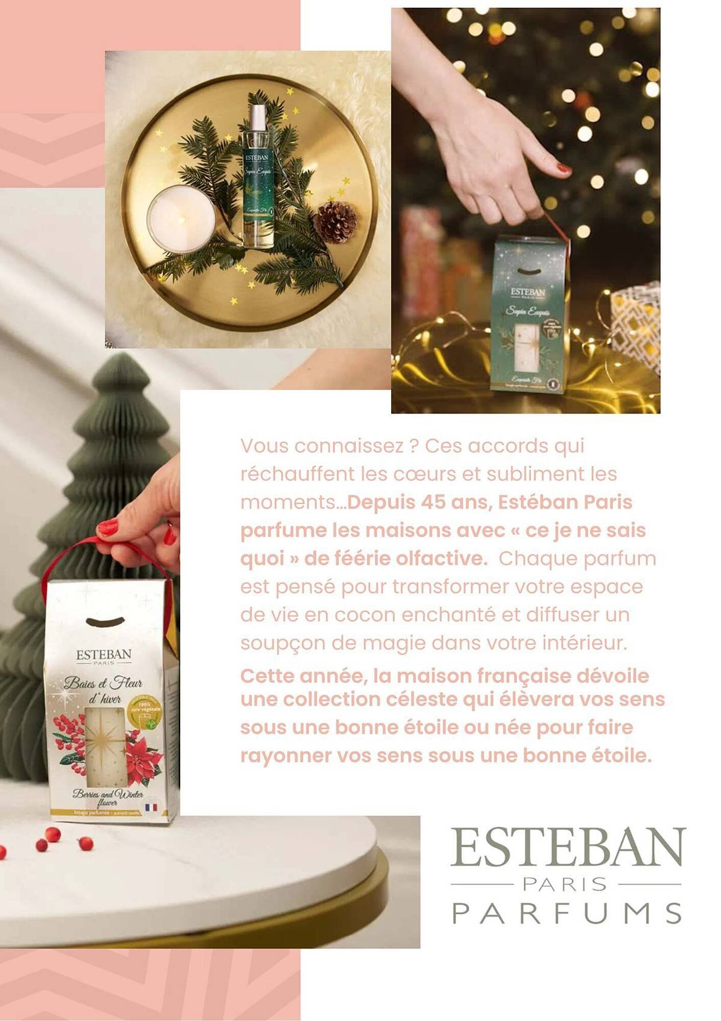 Catalogue Truffaut (2025-12-02 - 2025-12-31)