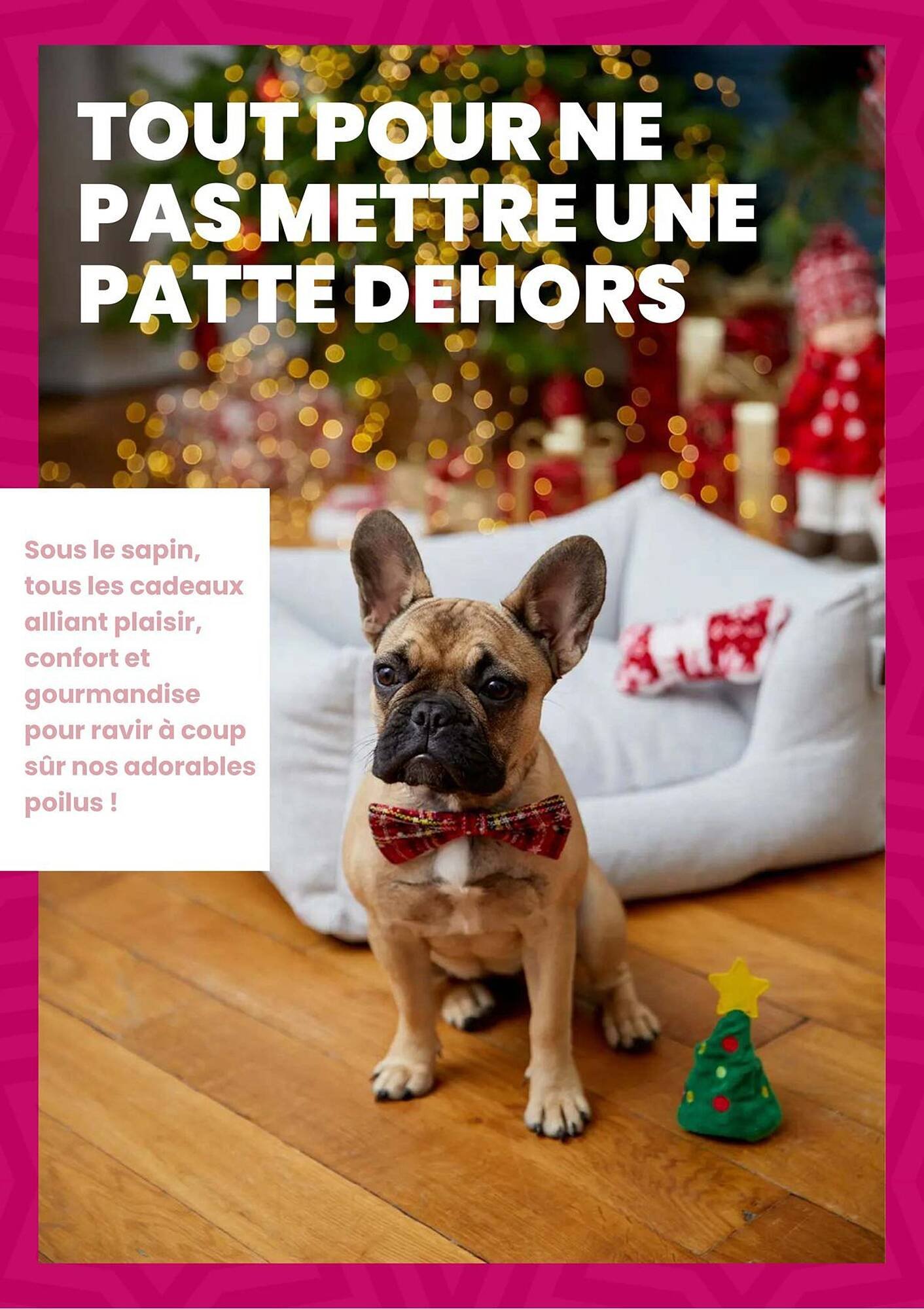 Catalogue Truffaut (2025-12-02 - 2025-12-31)