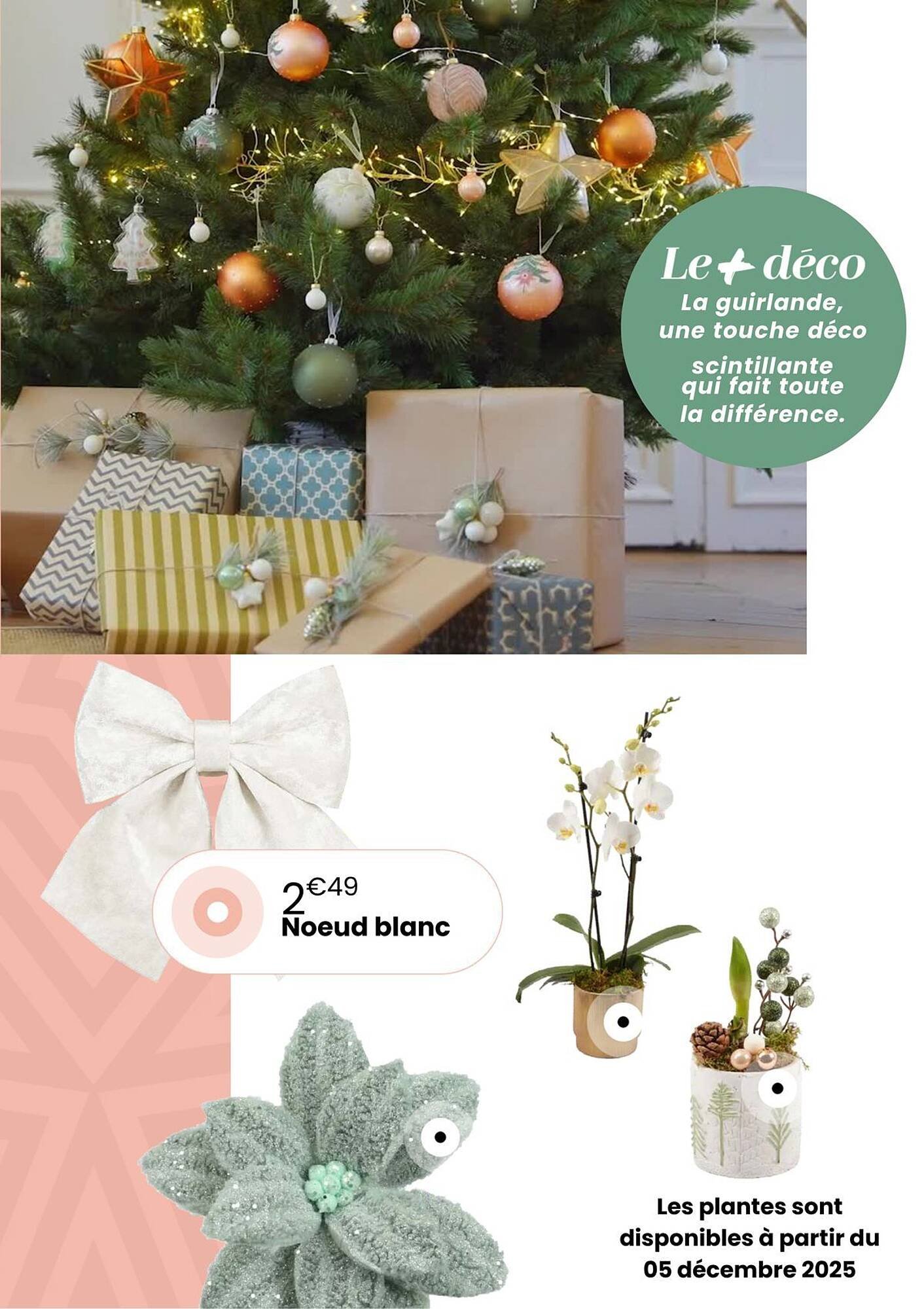 Catalogue Truffaut (2025-12-02 - 2025-12-31)