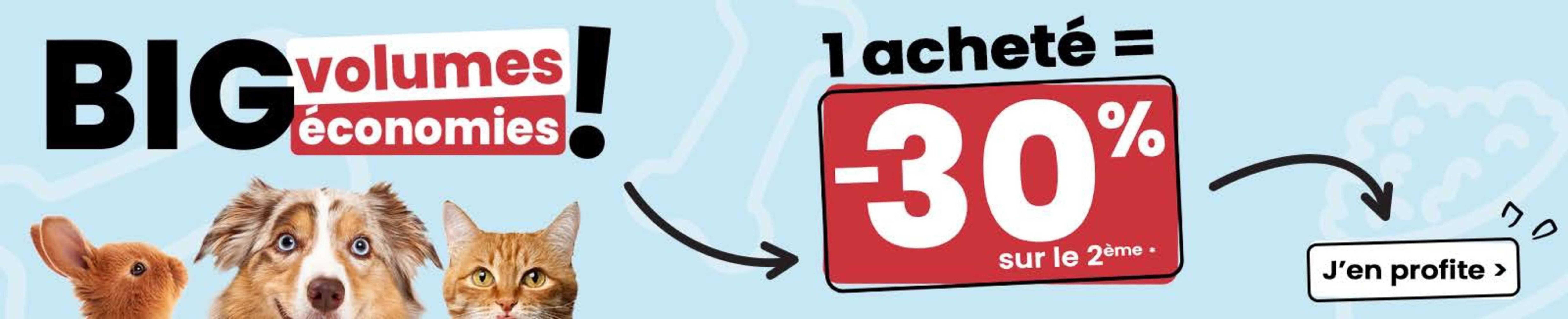 Catalogue Animalis (2026-01-02 - 2026-01-18)