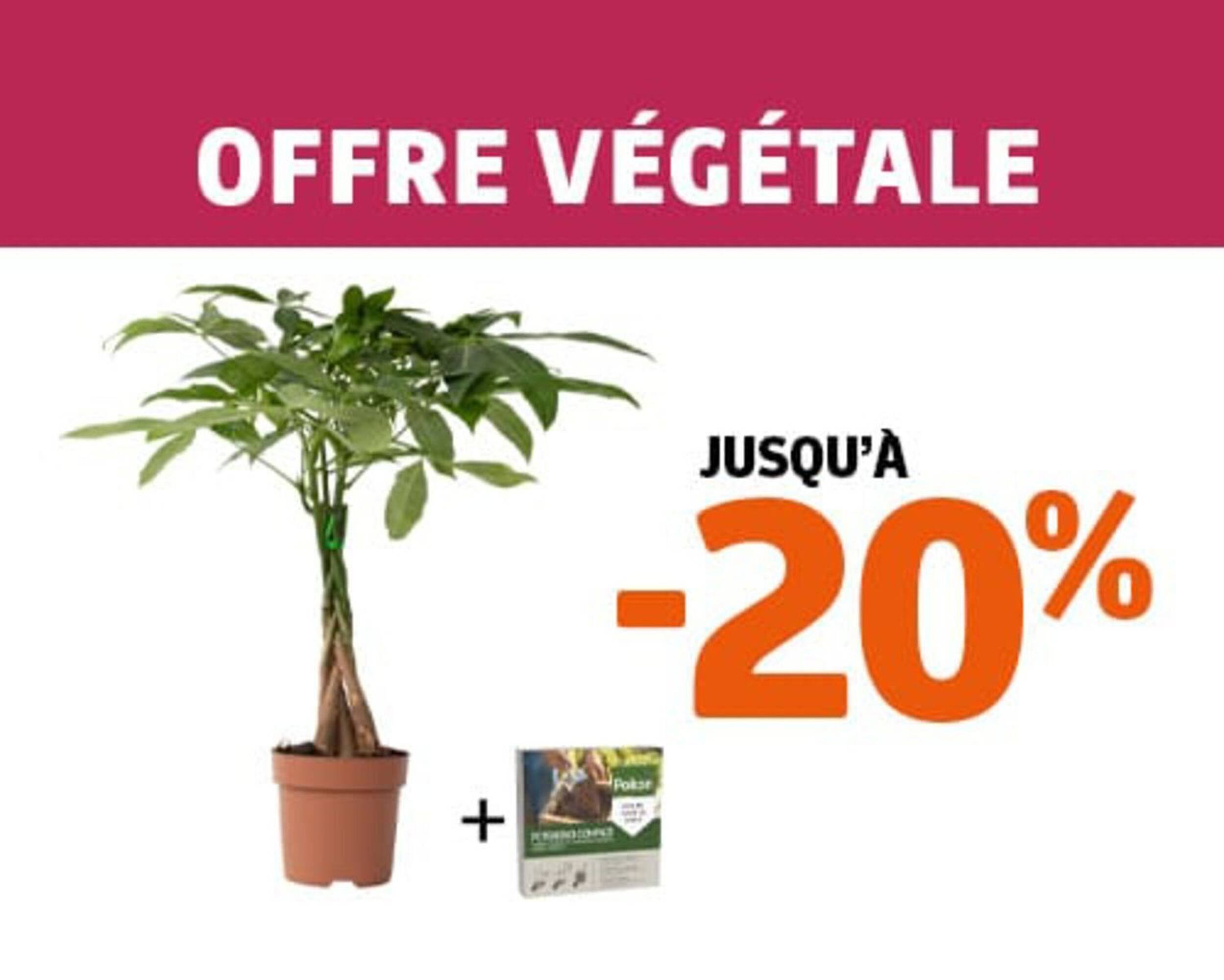 Catalogue Jardiland (2025-12-30 - 2026-01-07)