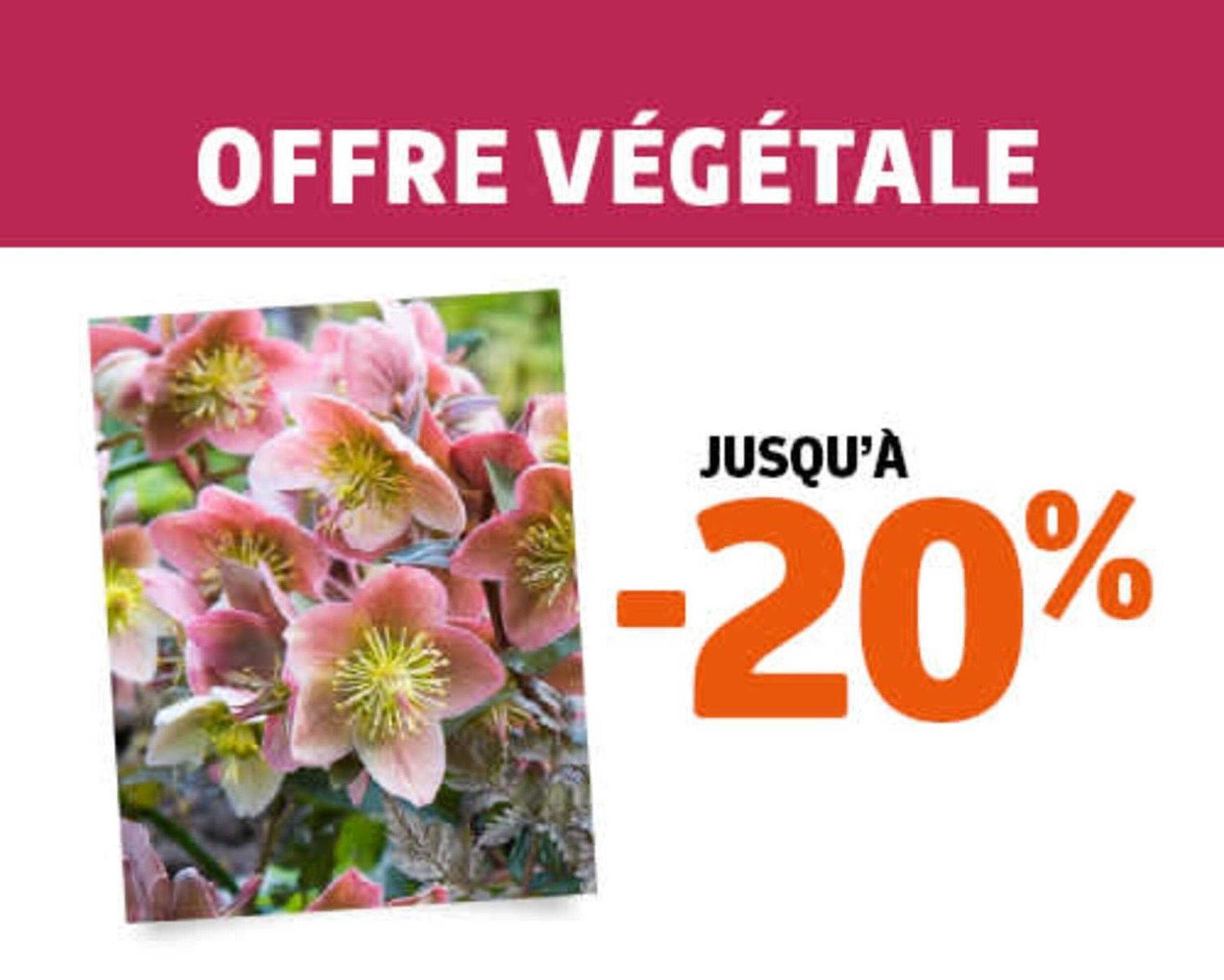 Catalogue Jardiland (2025-12-30 - 2026-01-07)