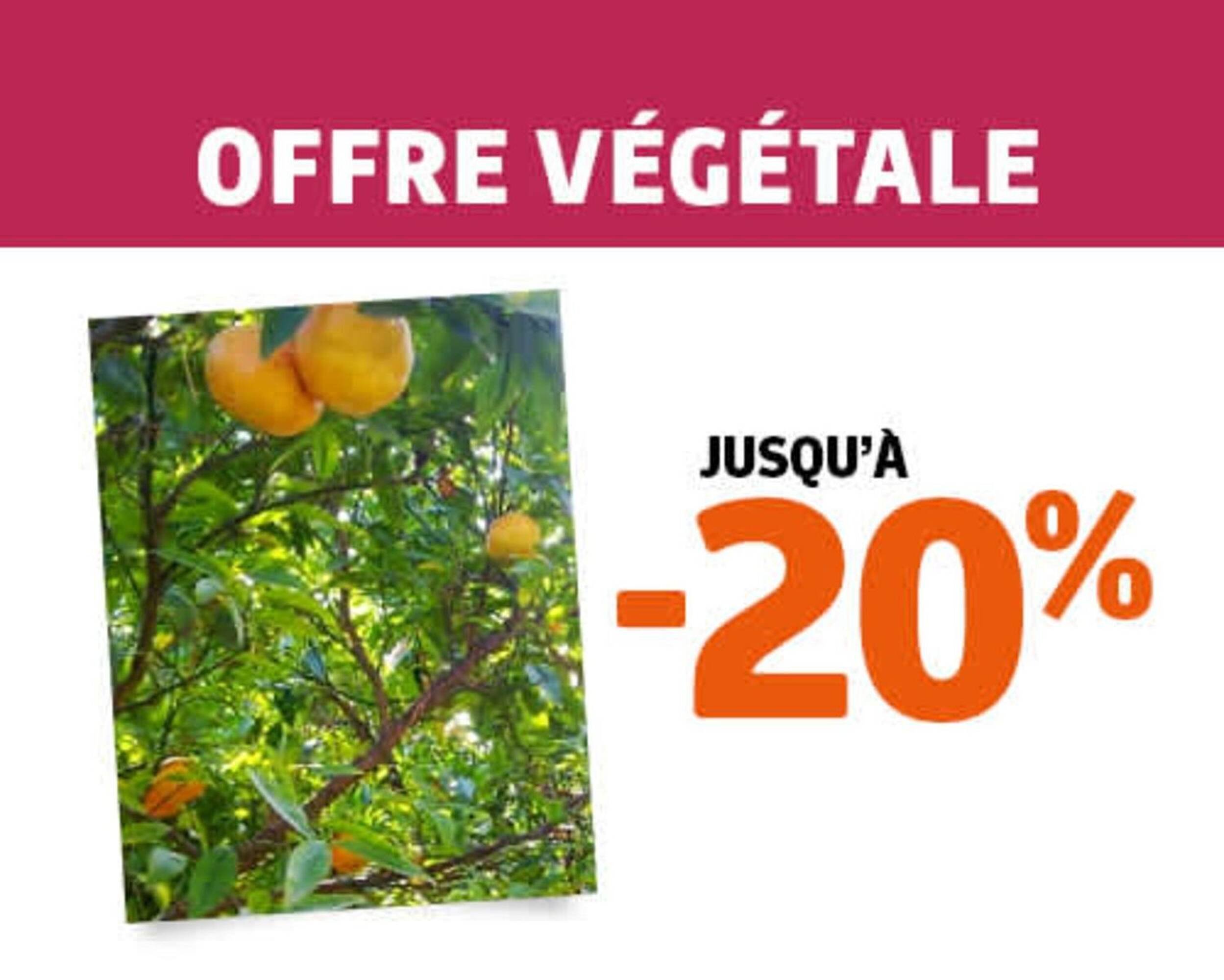 Catalogue Jardiland (2025-12-30 - 2026-01-07)