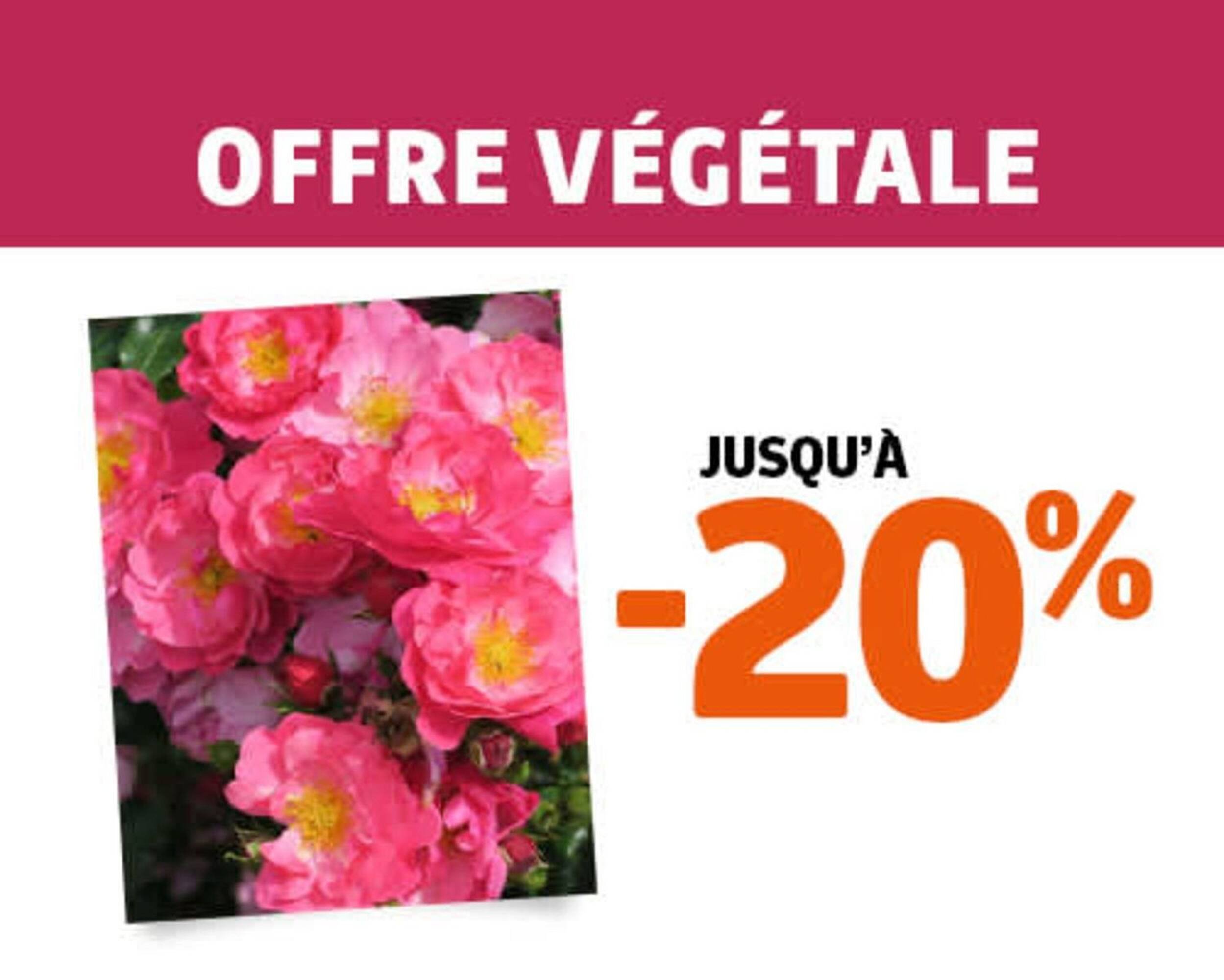 Catalogue Jardiland (2025-12-30 - 2026-01-07)