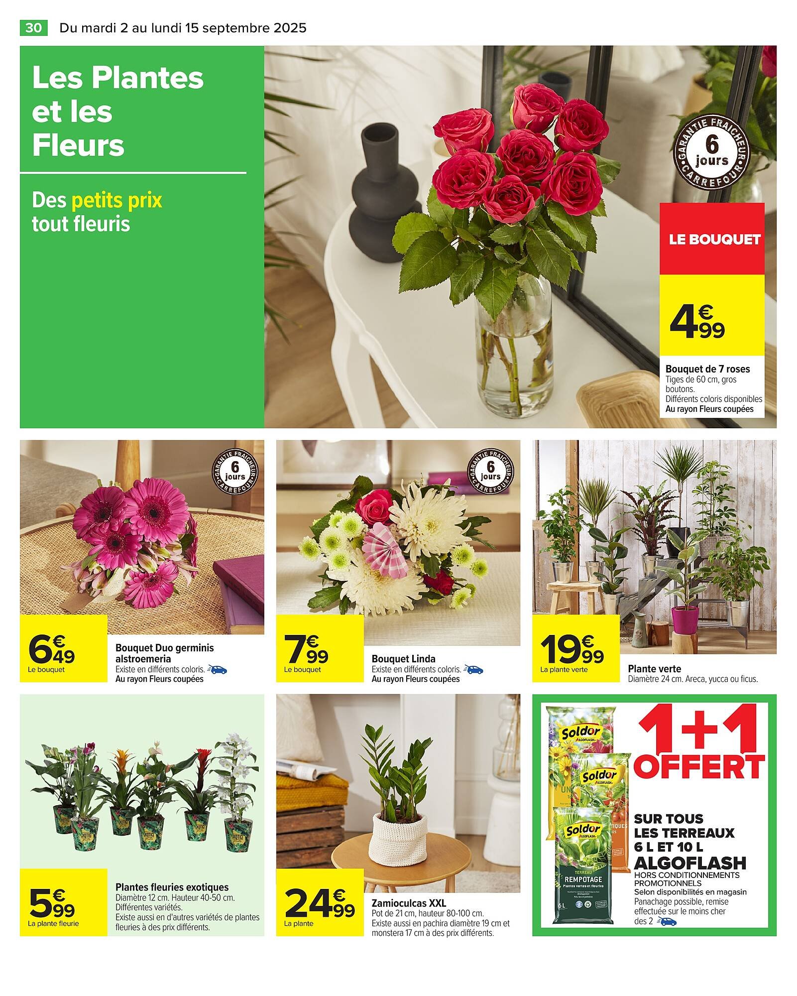 Catalogue Carrefour (2025-09-02 - 2025-09-15)