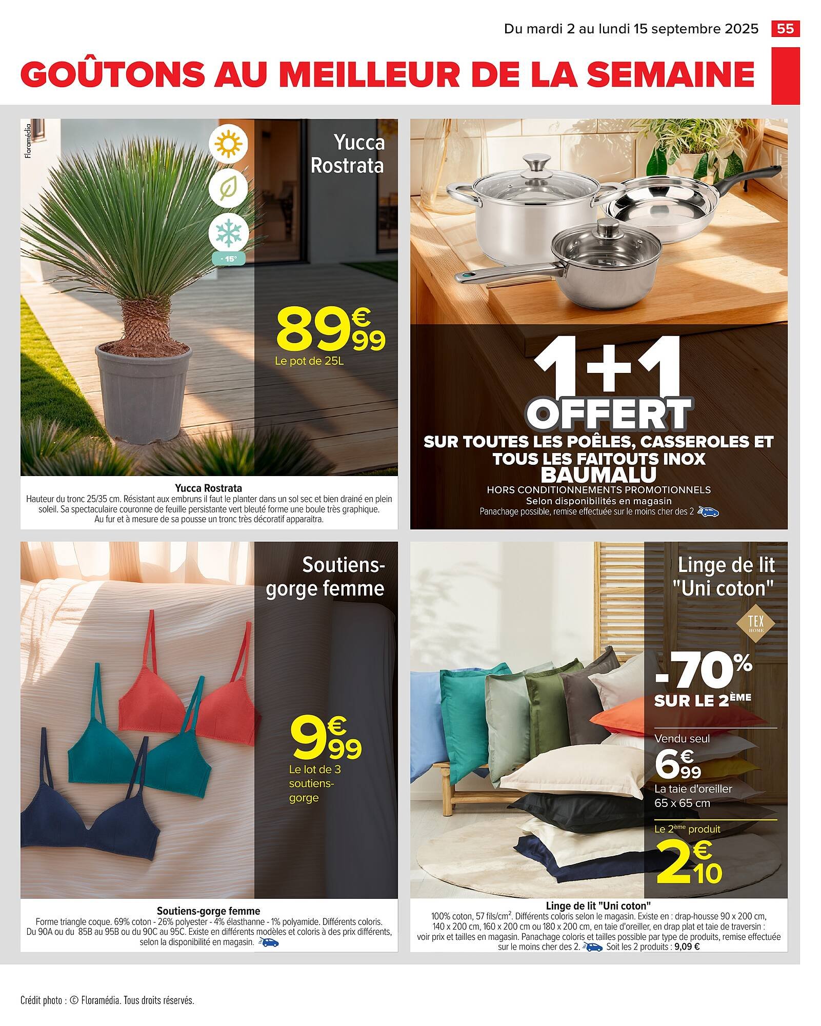 Catalogue Carrefour (2025-09-02 - 2025-09-15)