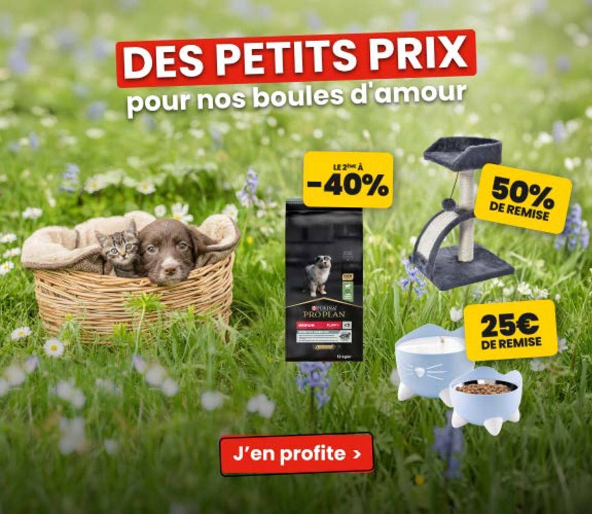 Catalogue Animalis (2026-03-31 - 2026-04-19)