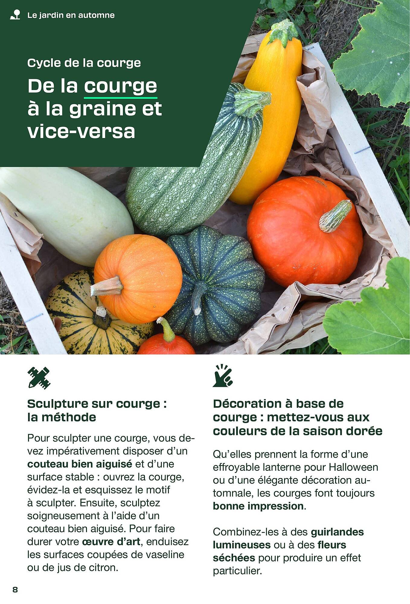 Catalogue Lidl (2025-08-29 - 2025-09-30)