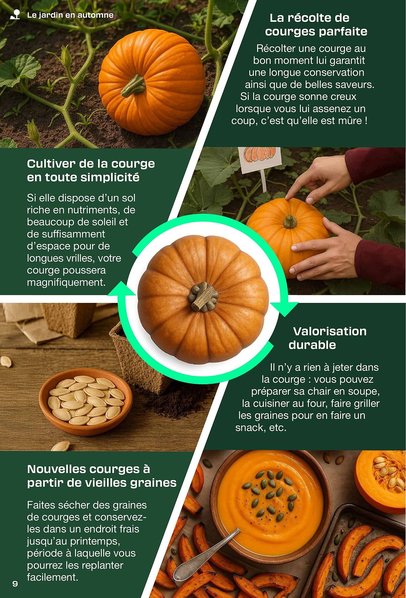 Catalogue Lidl (2025-08-29 - 2025-09-30)