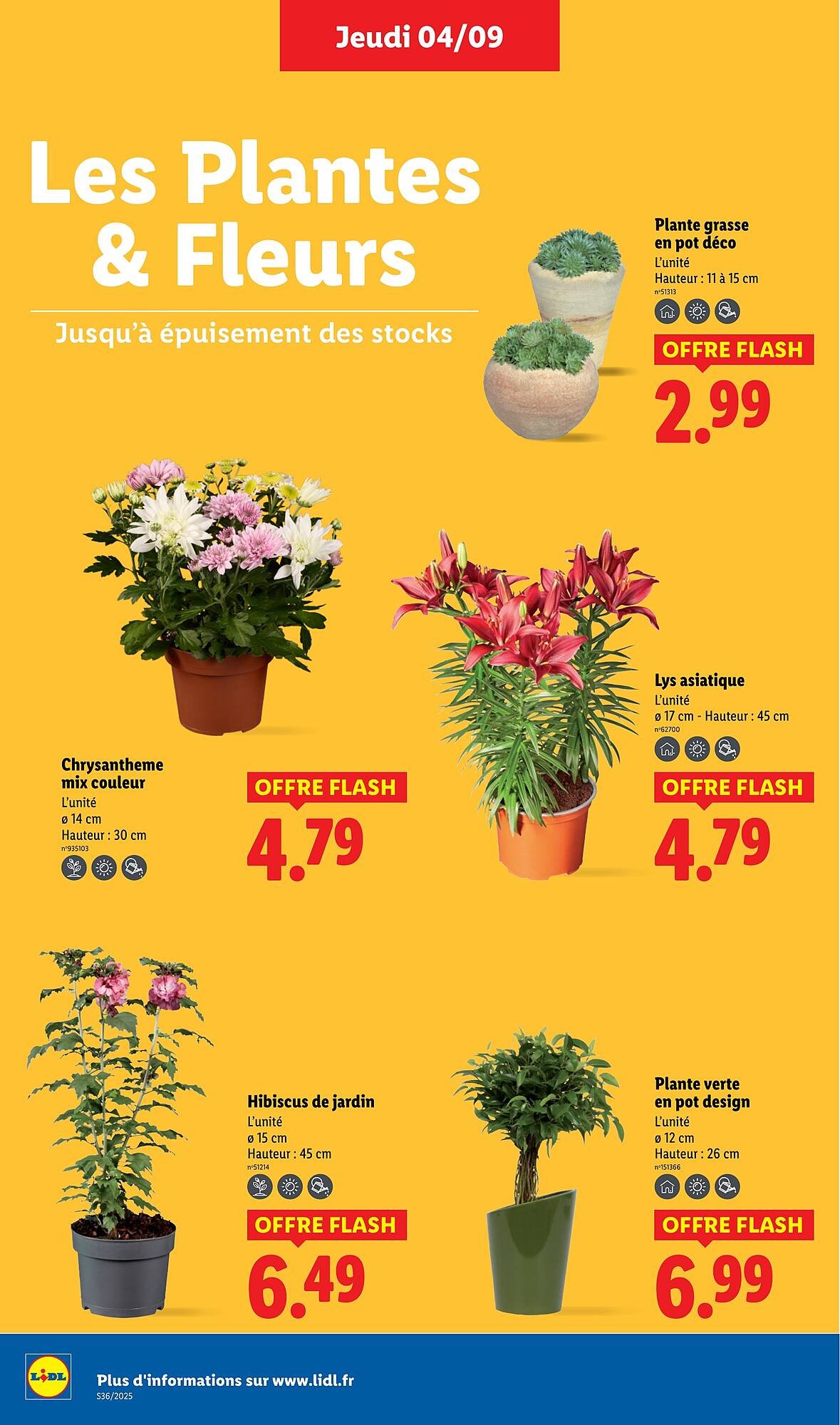 Catalogue Lidl (2025-09-04 - 2025-09-10)